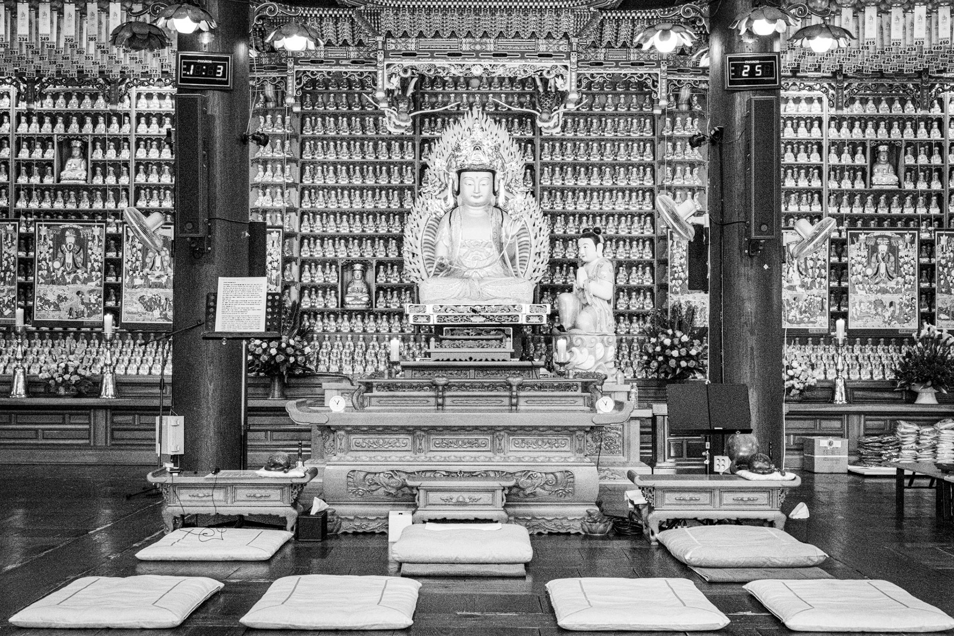 Seoul, South Korea · September 25, 2022 · Nikon Z 9 · Nikkor Z 50 mm f/1.8 S · 1/200 sec f/11 ISO 14400