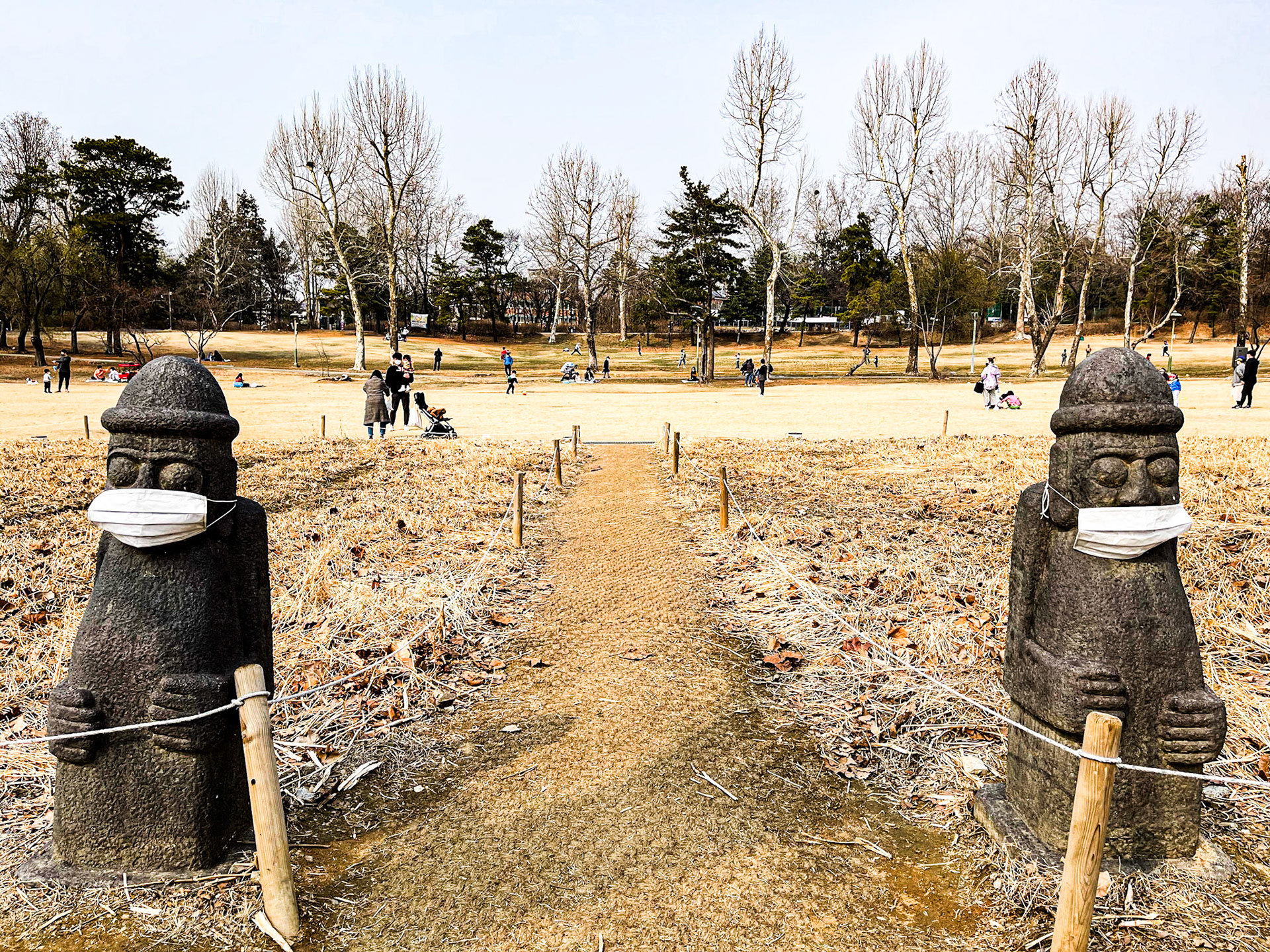 Seoul, South Korea · March 13, 2021 · Apple iPhone 12 Pro Max · iPhone 12 Pro Max back triple camera 5.1 mm f/1.6 · 1/4300 sec f/1.6 ISO 32