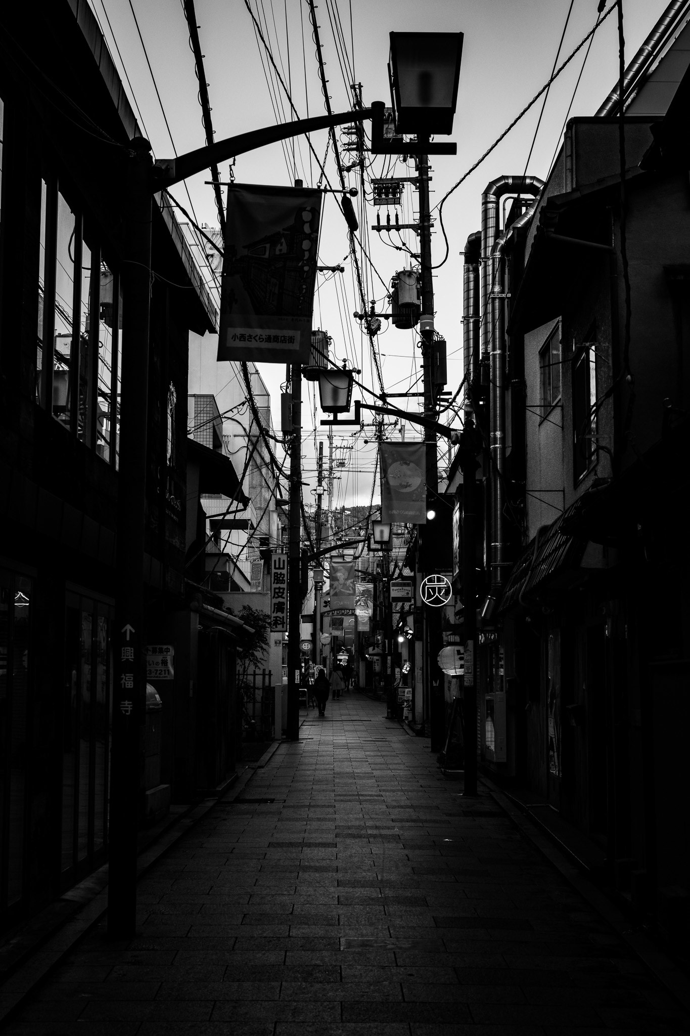 Nara, Japan · February 24, 2025 · Nikon Z 9 · Nikkor Z 50mm f/1.2 S · 1/200 sec f/8.0 ISO 800
