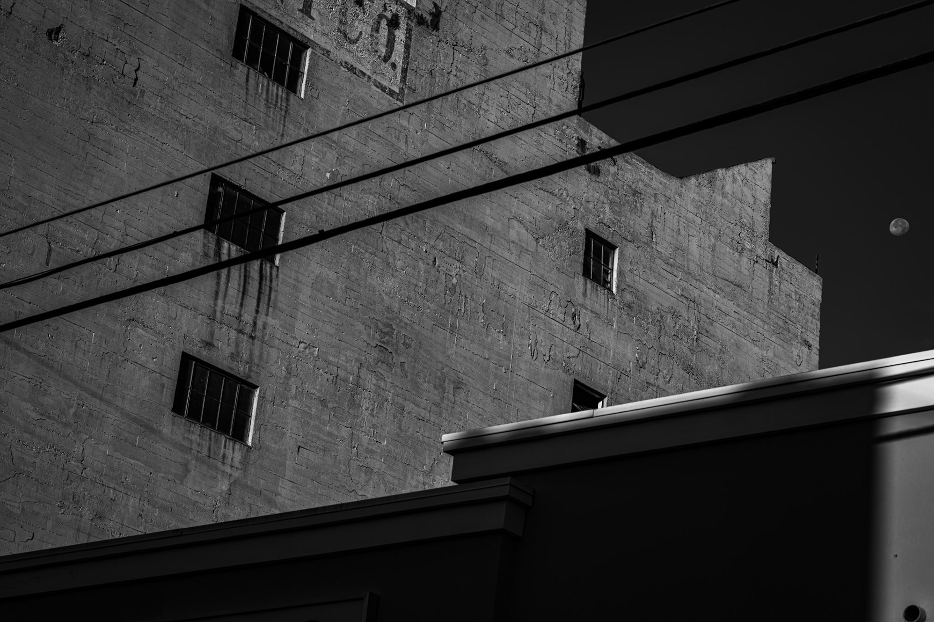 Los Angeles, California, USA · November 11, 2022 · Nikon Z 9 · Nikkor Z 85 mm f/1.8 S · 1/200 sec f/8.0 ISO 64