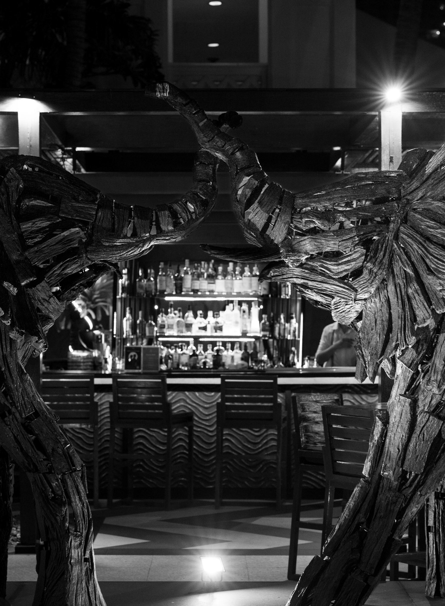 Bangkok, Thailand · February 10, 2024 · Nikon Z 9 Nikkor Z 85mm f/1.2 S · 1/80 sec/ f/5.6 ISO 7200