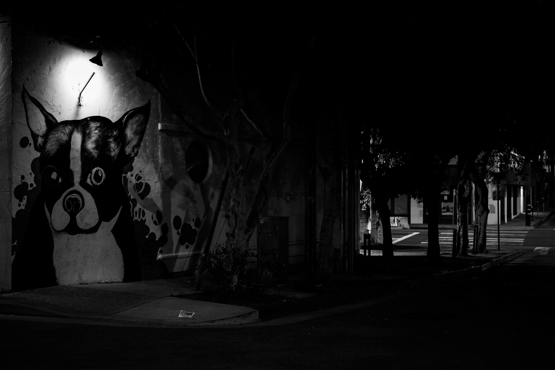 Venice, California, USA · April 19, 2025 · Nikon Z 9 · Nikkor Z 50mm f/1.2 S · 1/60 sec f/2.0 ISO 2800