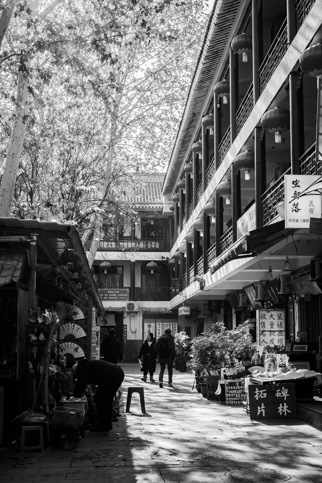Xi’an, Shaanxi, China · January 5, 2025 · Nikon Z 9 · Nikkor Z 50mm f/1.2 S · 1/500 sec f/11 ISO 1400