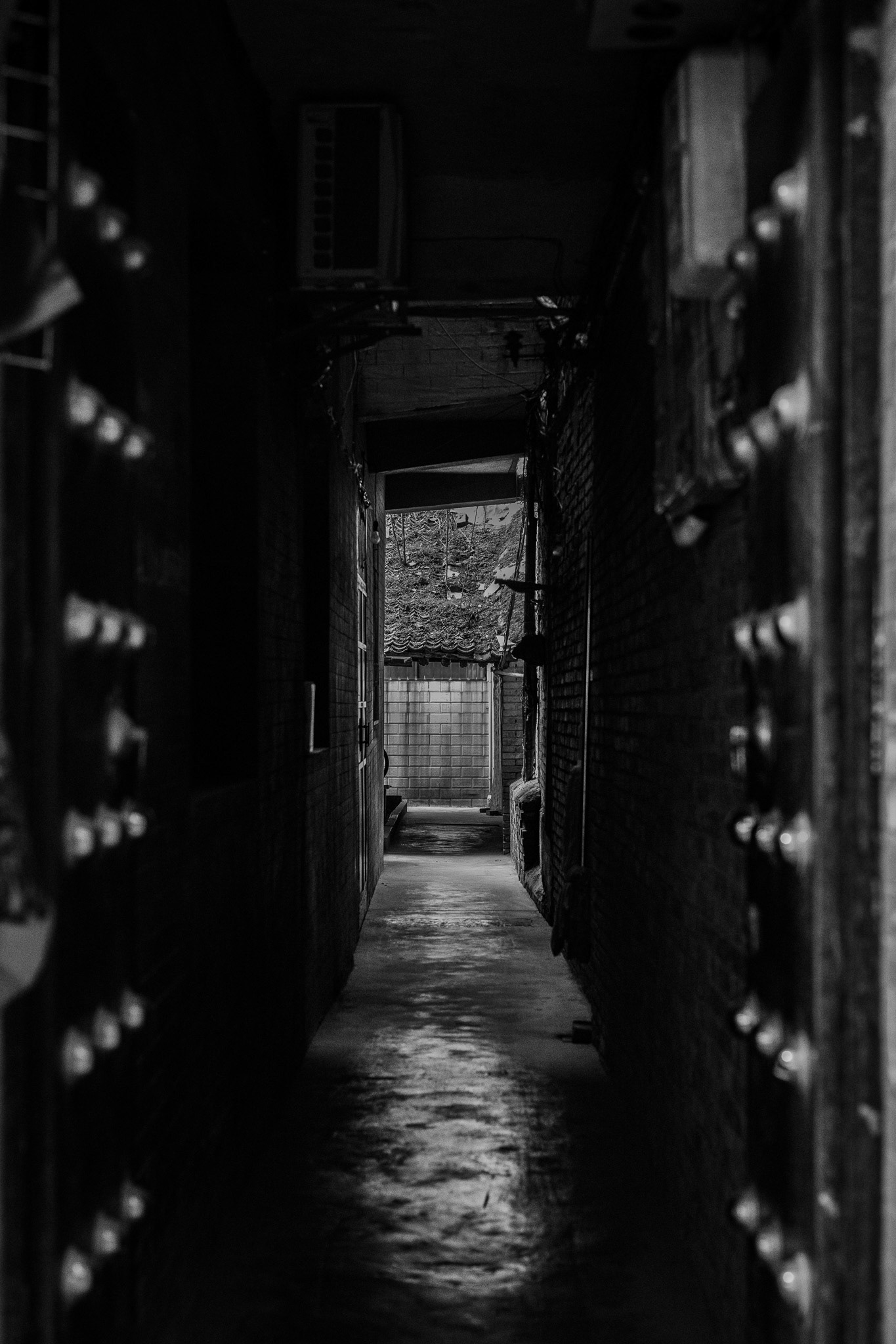 Xi’an, Shaanxi, China · January 5, 2025 · Nikon Z 9 · Nikkor Z 50mm f/1.2 S · 1/200 sec f/3.2 ISO 5600