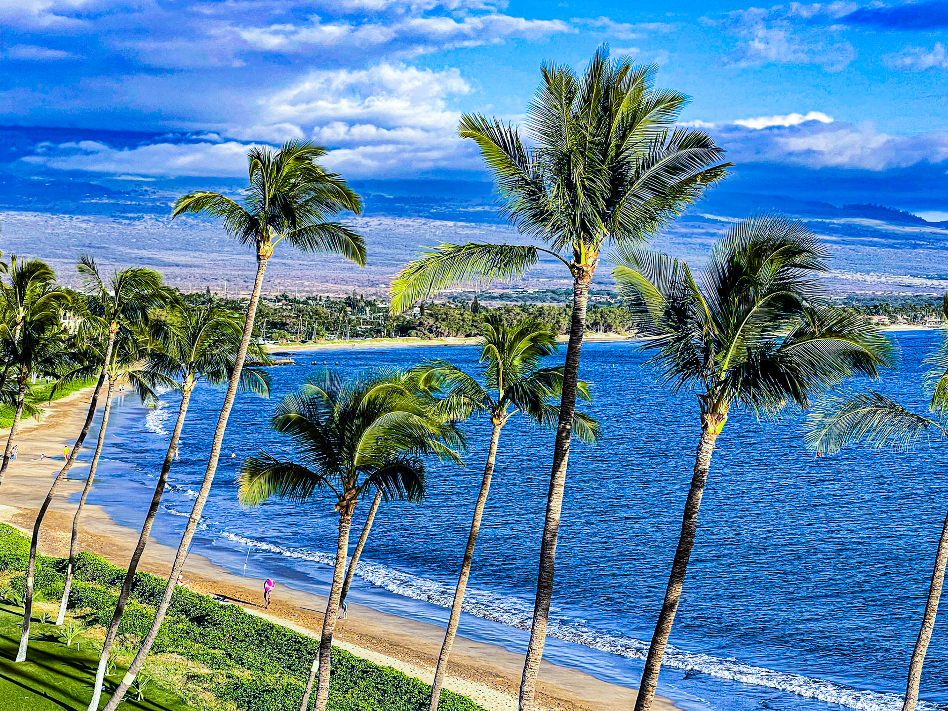 Kihei, Maui, Hawaii, USA · July 18, 2021 · Apple iPhone 12 Pro Max · iPhone 12 Pro Max back triple camera 7.5 mm f/2.2 · 1/720 sec f/2.2 ISO 20