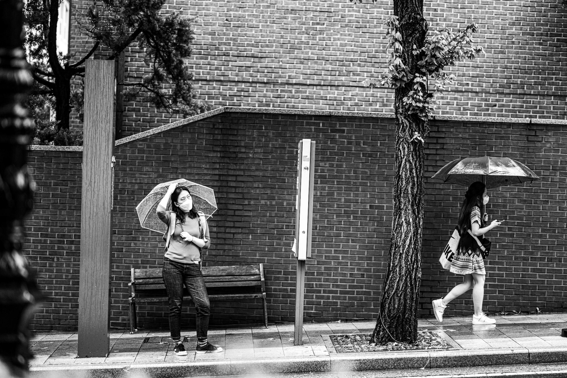 Seoul, South Korea · October 3, 2022 · Nikon Z 9 · Nikkor Z 85 mm f/1.8 S · 1/200 sec f/1.8 ISO 220