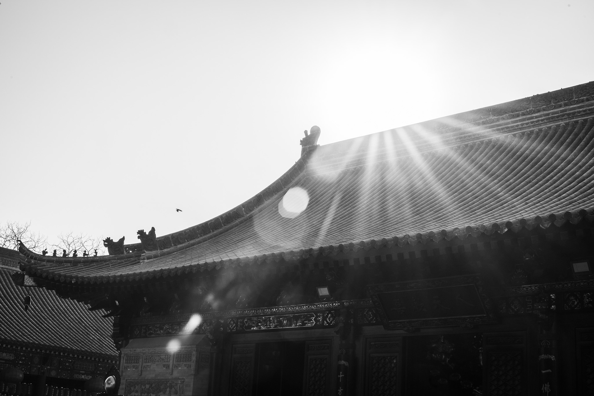 Giant Wild Goose Pagoda, Xi’an, Shaanxi, China · January 5, 2025 · Nikon Z 9 · Nikkor Z 50mm f/1.2 S · 1/200 sec f/16 ISO 140