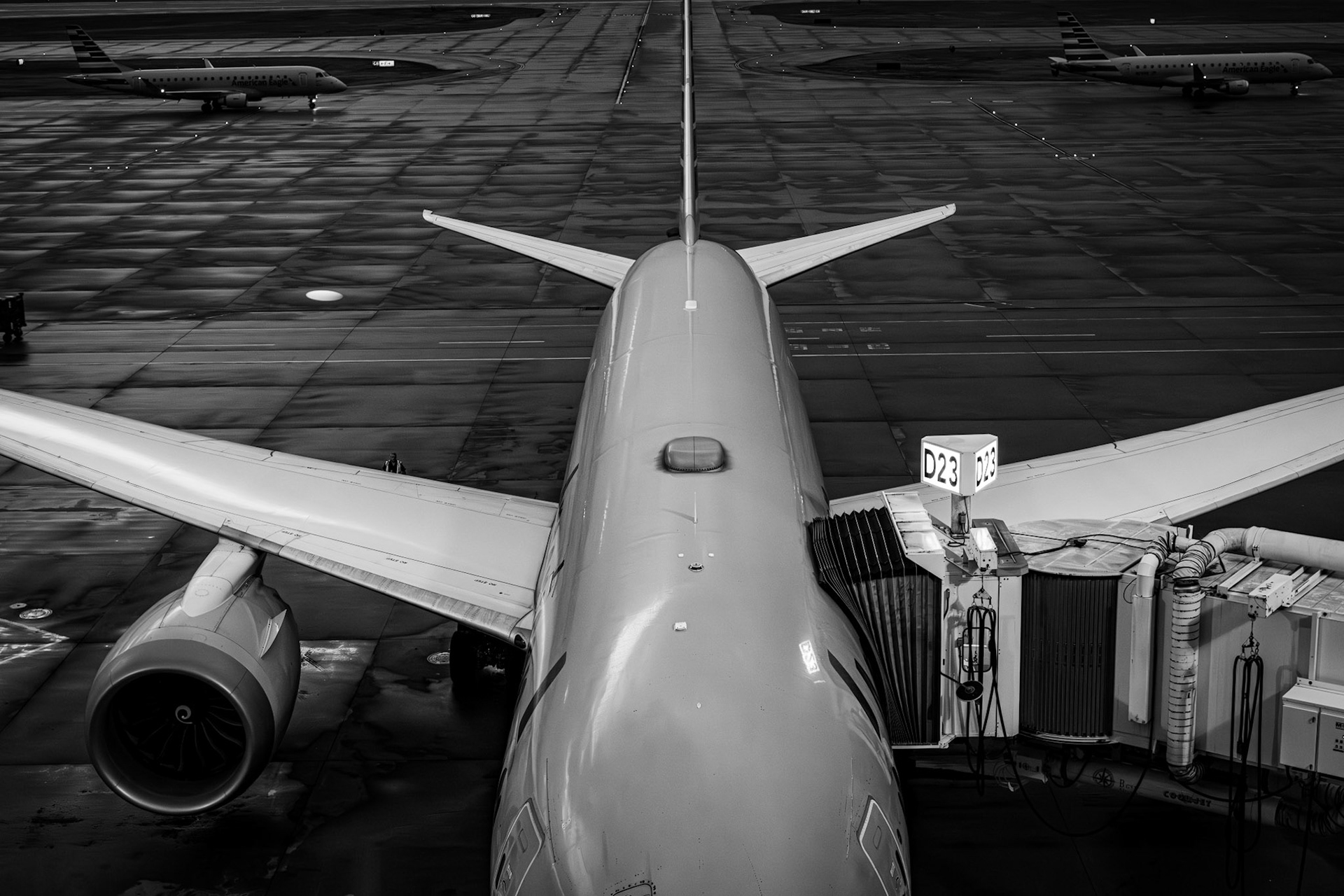 DFW, Dallas, Fort Worth, Texas, USA · November 7, 2022 · Nikon Z 9 Nikkor Z 50 mm f/1.8 S · 1/125 sec f/7.1 ISO 3600