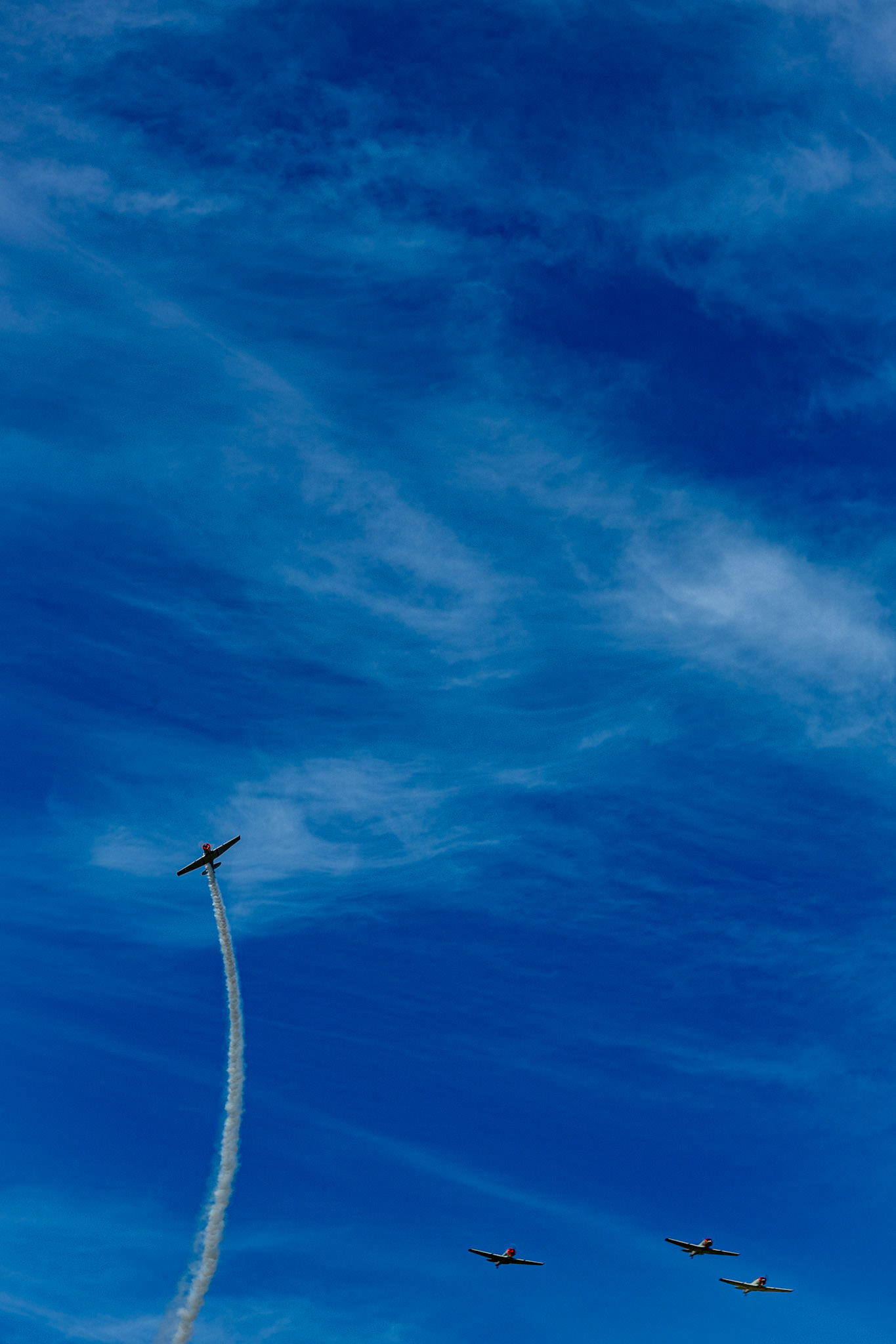 Burbank, Los Angeles, California, USA · November 11, 2022 · Nikon Z 9 · Nikkor Z 85 mm f/1.8 S · 1/160 sec f/16 ISO 100