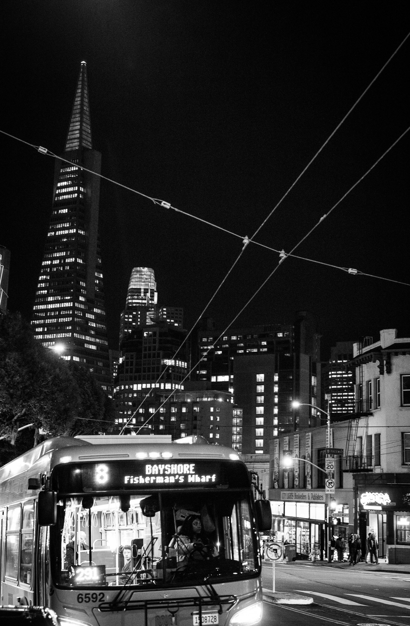 San Francisco, California, USA · November 27, 2024 · Nikon Z 9 · Nikkor Z 50mm f/1.2 S · 1/80 sec f/3.5 ISO 8000