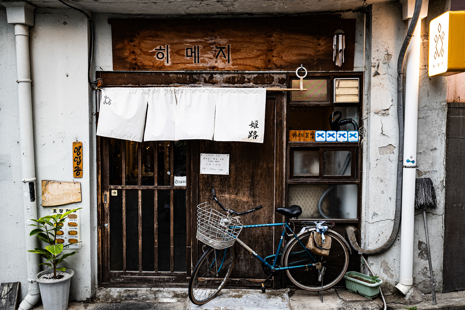 Seoul, South Korea · June 12, 2022 · Nikon Z fc · Nikkor Z 20 mm f/1.8 S · 1/125 sec f/4.6 ISO 400