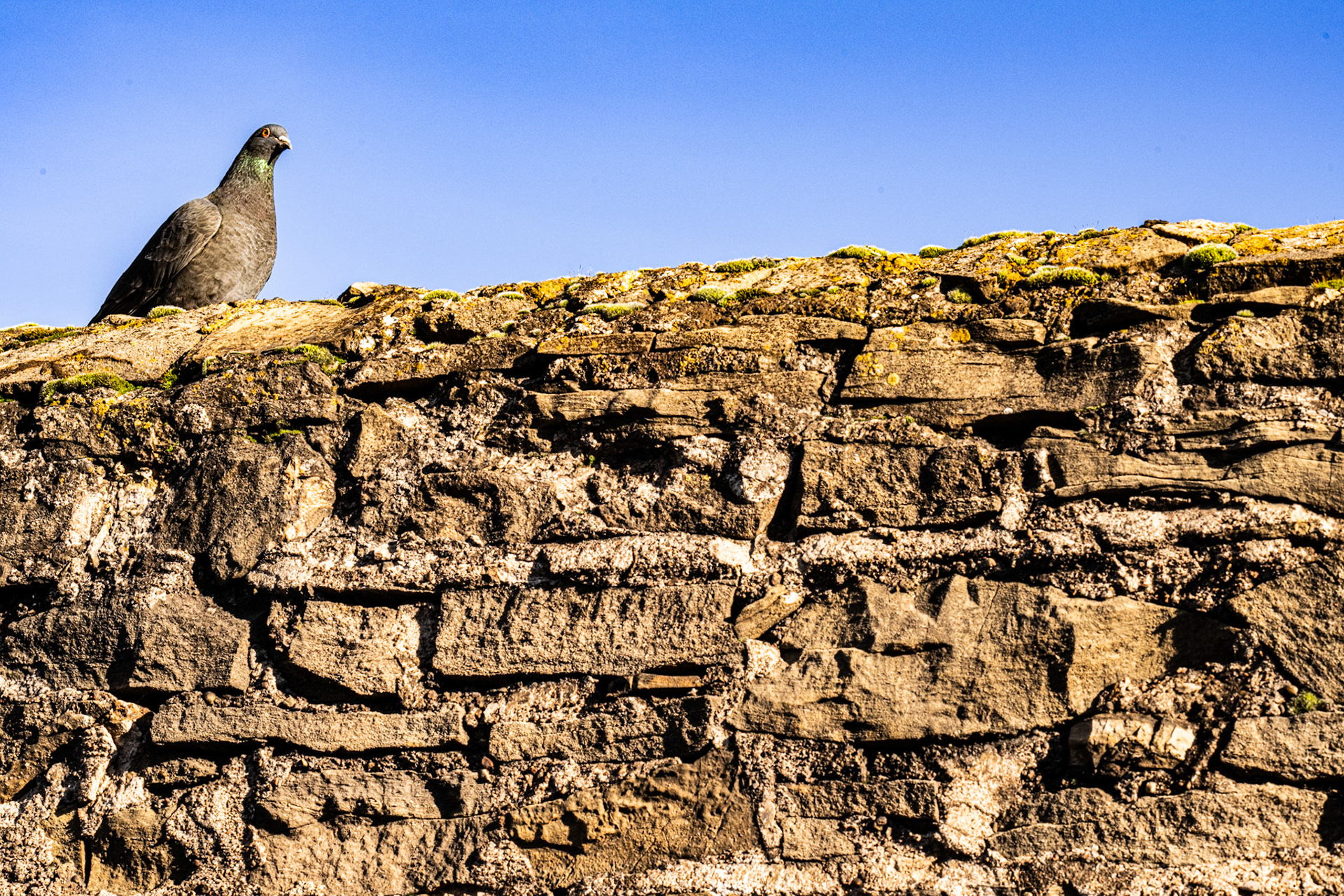 Lyon, France · December 27, 2023 · Nikon Z 9 · Nikkor Z 85mm f/1.2 S · 1/200 sec f/16 ISO 560