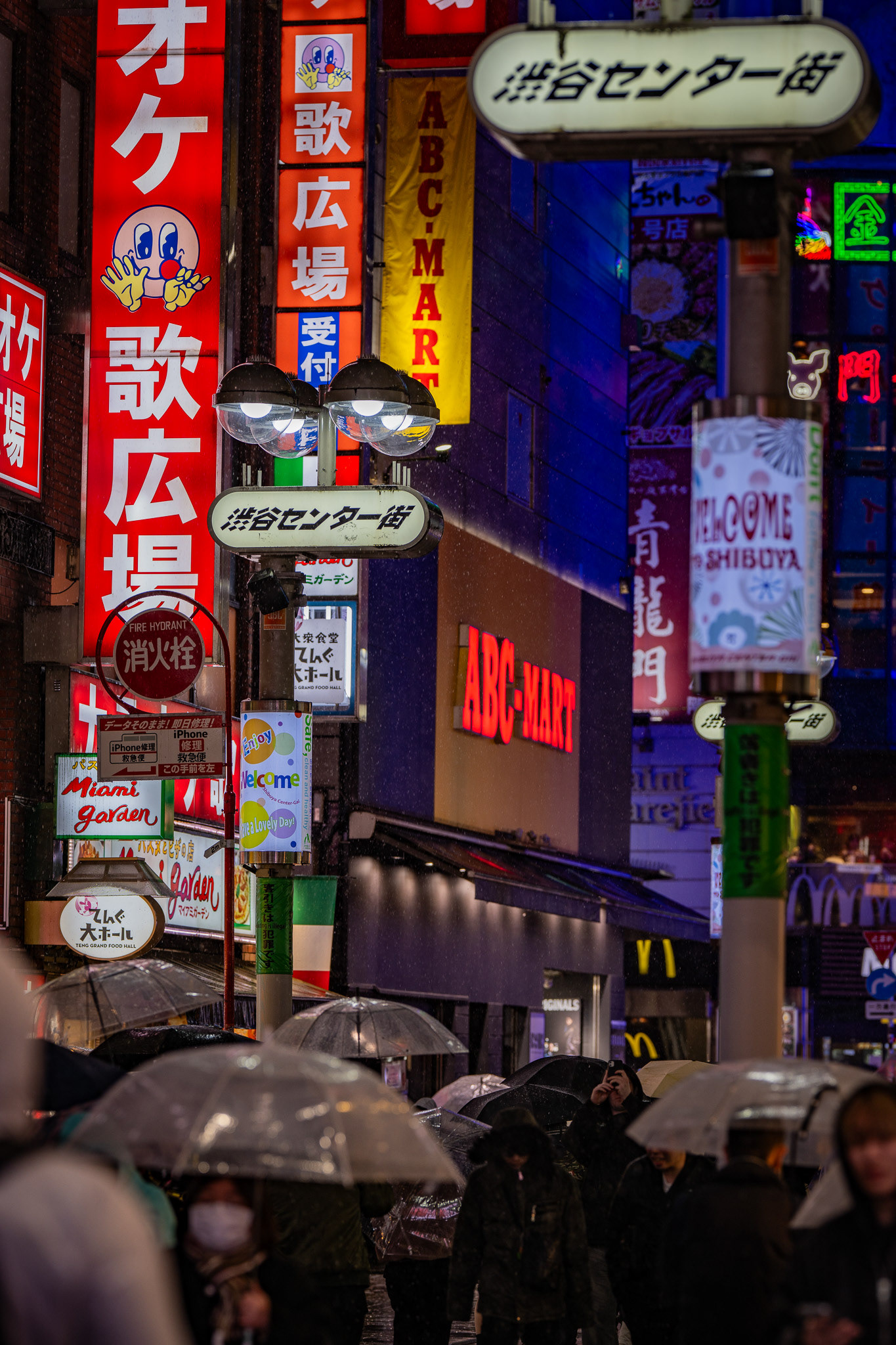Tokyo, Japan · March 4, 2025 · Nikon Z 9 · Nikkor Z 135mm f/1.8 S Plena · 1/60 sec f/2.8 ISO 140