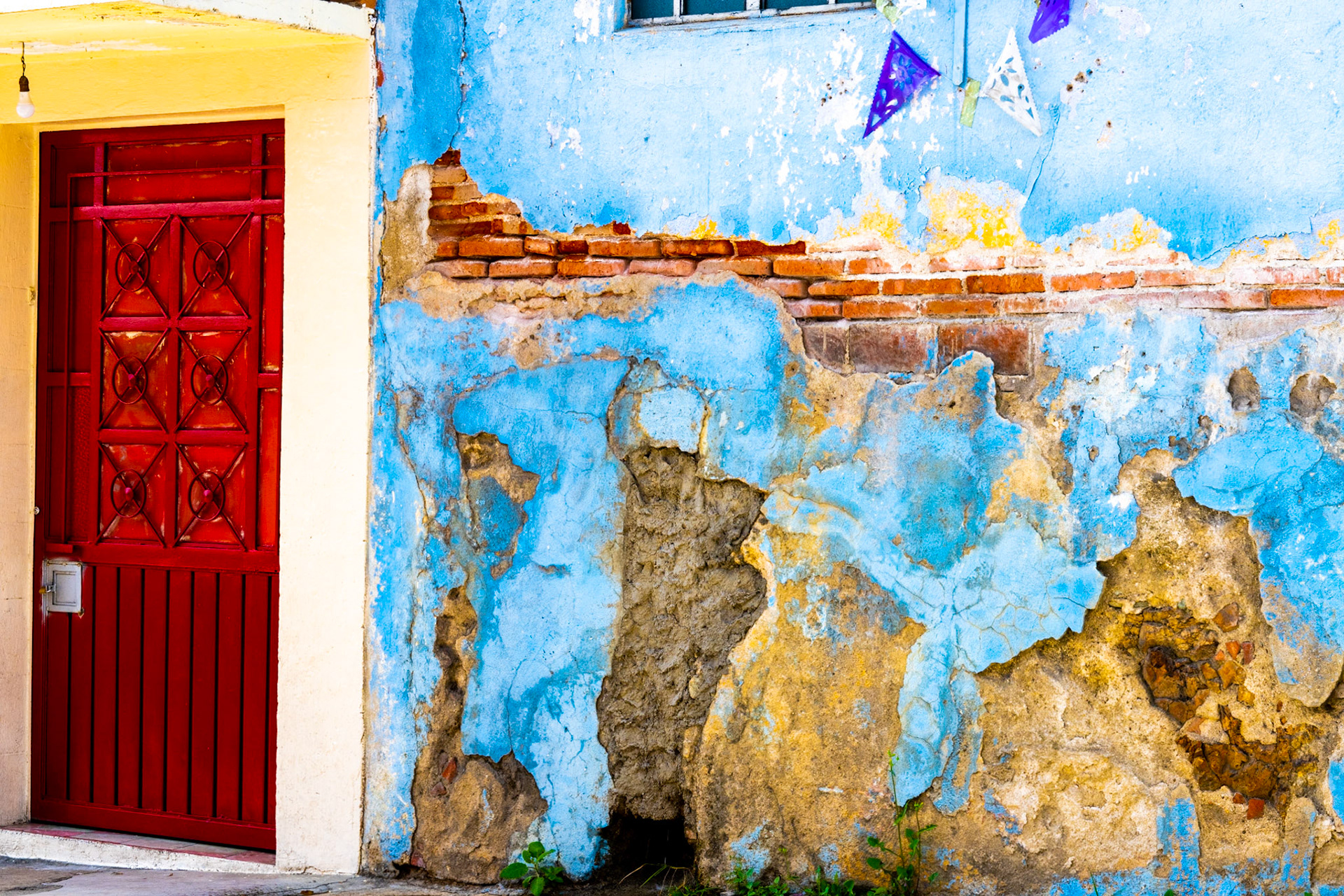 Oaxaca, Mexico · August 15, 2022 · Nikon Z 9 · Nikkor Z 85 mm f/1.8 S · 1/125 sec f/16 ISO 400