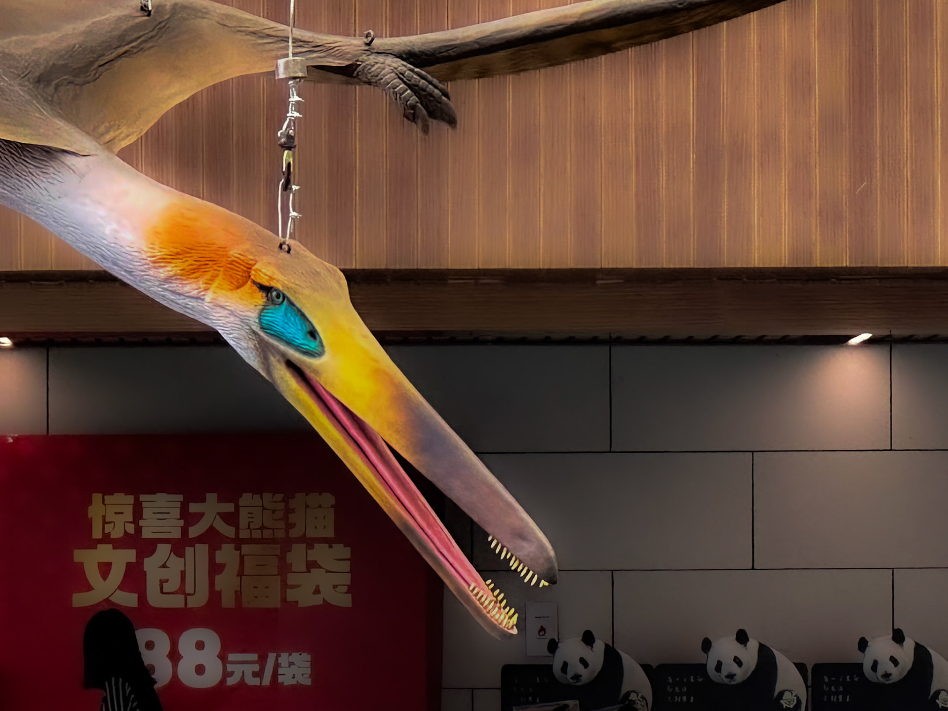 Chengdu, Sichuan, China · March 15, 2023 · Apple iPhone 14 Pro Max · iPhone 14 Pro back triple camera 9 mm f/2.8 · 1/100 sec f/2.8 ISO 160