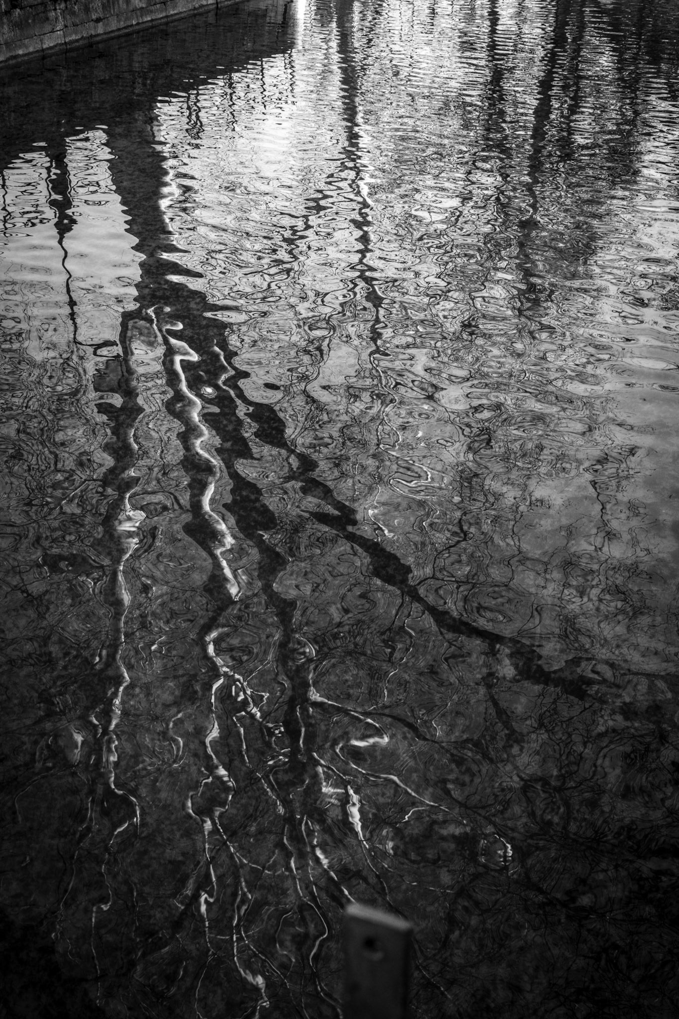 Annecy, France · December 24, 2023 · Nikon Z 9 · Nikkor Z 50mm f/1.2 S · 1/100 sec f/16 ISO 1800