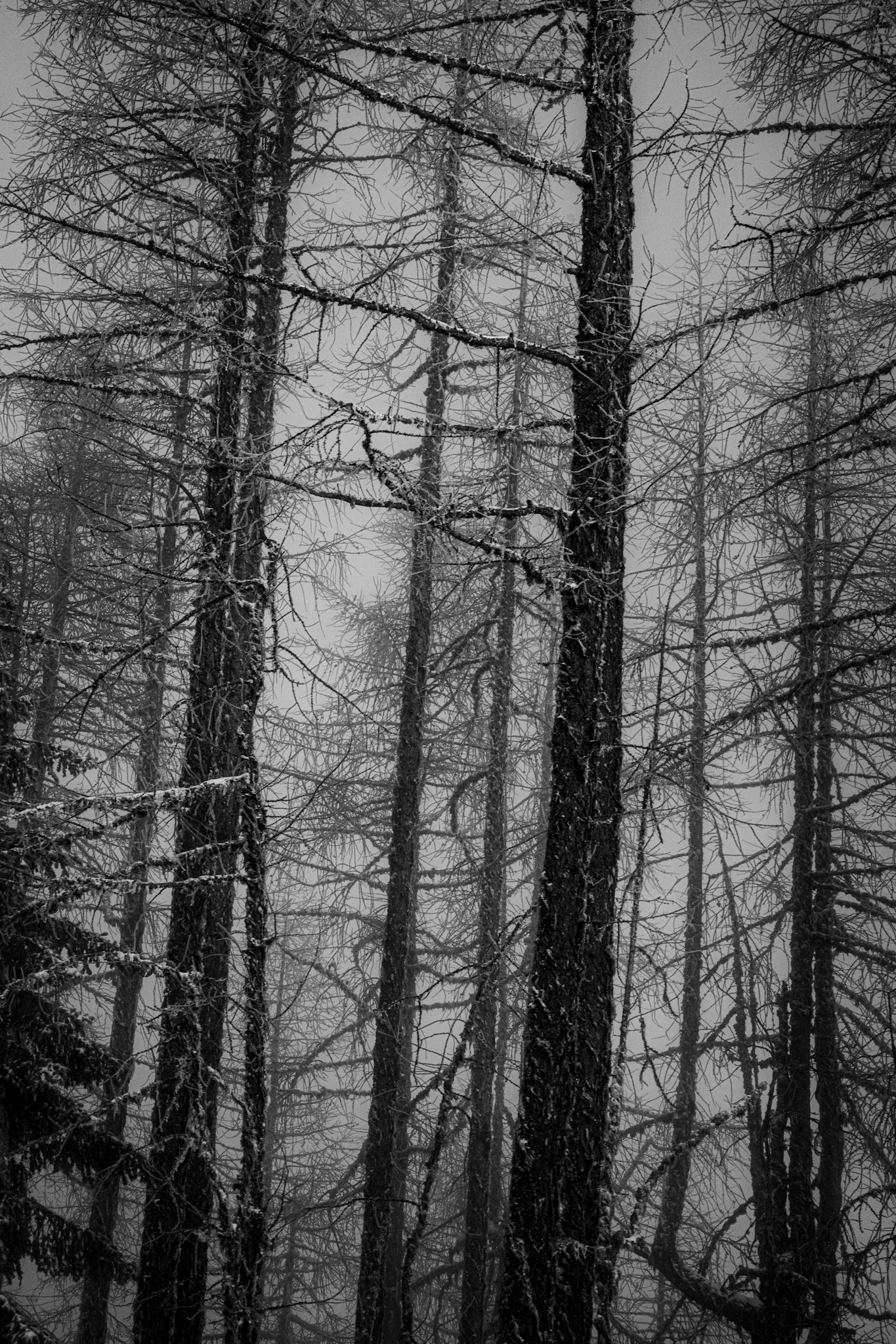 Chamonix, Mont Blanc, France · December 23, 2023 · Nikon Z 9 · Nikkor Z 50mm f/1.2 S · 1/500 sec f/16 ISO 400