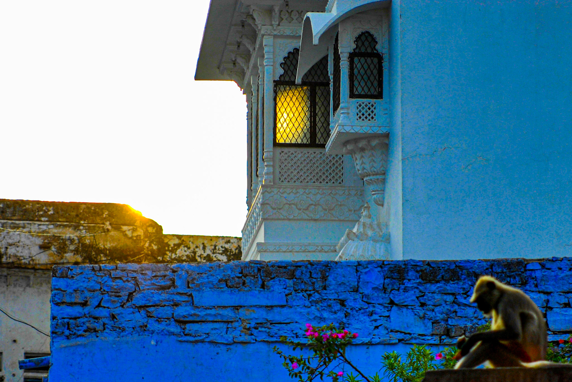 Bundi, Rajasthan, India · July 10, 20110 · Nikon D200 · 1/1250 sec f/2.8 ISO 320