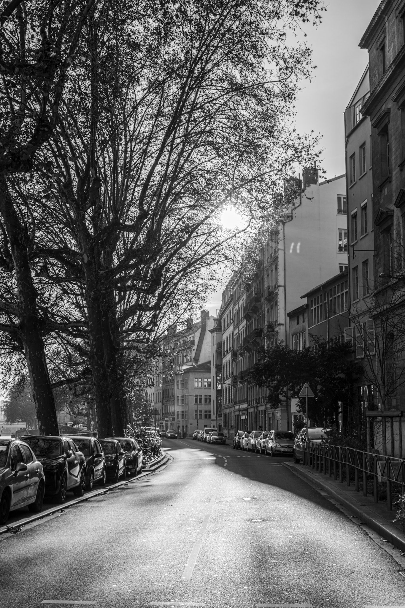 Lyon, France · December 27, 2023 · Nikon Z 9 · Nikkor Z 50mm f/1.2 S · 1/200 sec f/11 ISO 125