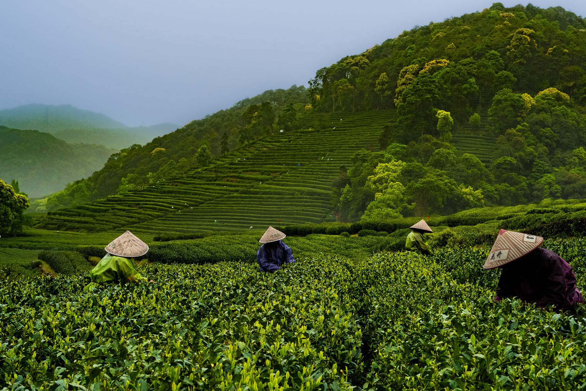 West Lake, Longjing, Hangzhou, Zhejiang, China · April 05, 2025 · Nikon Z 9 · Nikkor Z 50mm f/1.2 S · 1/100 sec f/16 ISO 720