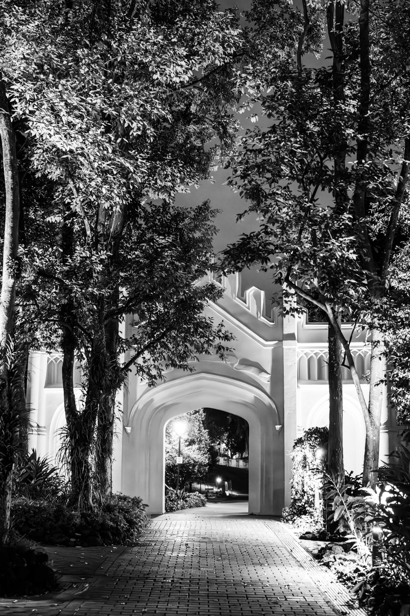 Fort Canning Park, Singapore · December 2, 2023 · Nikon Z 9 · Nikkor Z 50 mm f/1.2 S · 1/50 sec f/2.8 ISO 8000