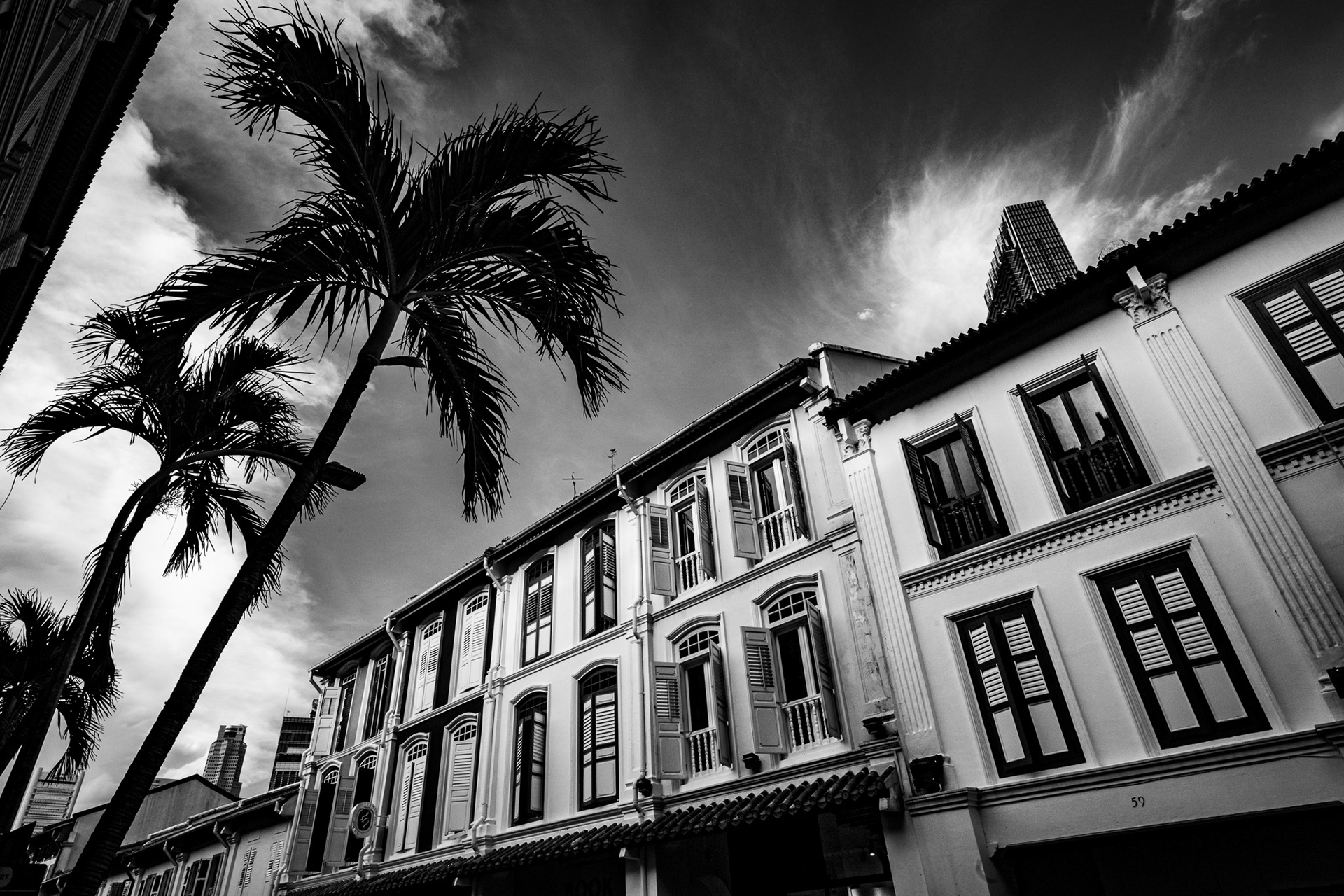 Singapore · May 24, 2025 · Nikon Z 9 · Nikkor Z 20mm f/1.8 S · 1/100 sec f/16 ISO 360