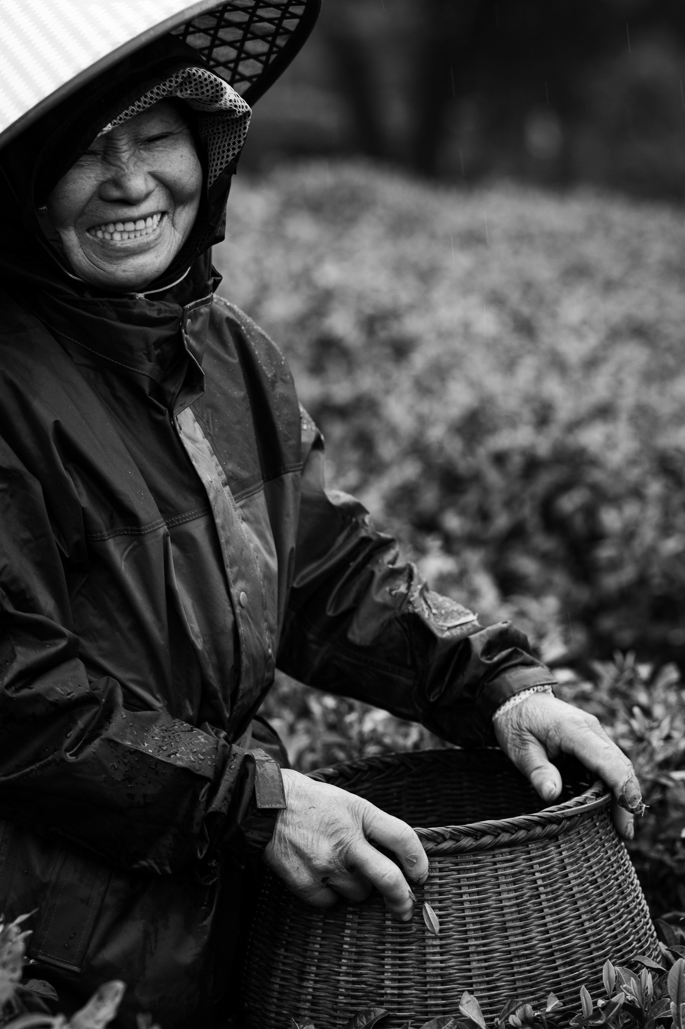 West Lake Longjing, Hangzhou, Zhejiang, China · April 12, 2025 · Nikkor Z 135mm f/1.8 S Plena · 1/160 sec f/4.5 ISO 280