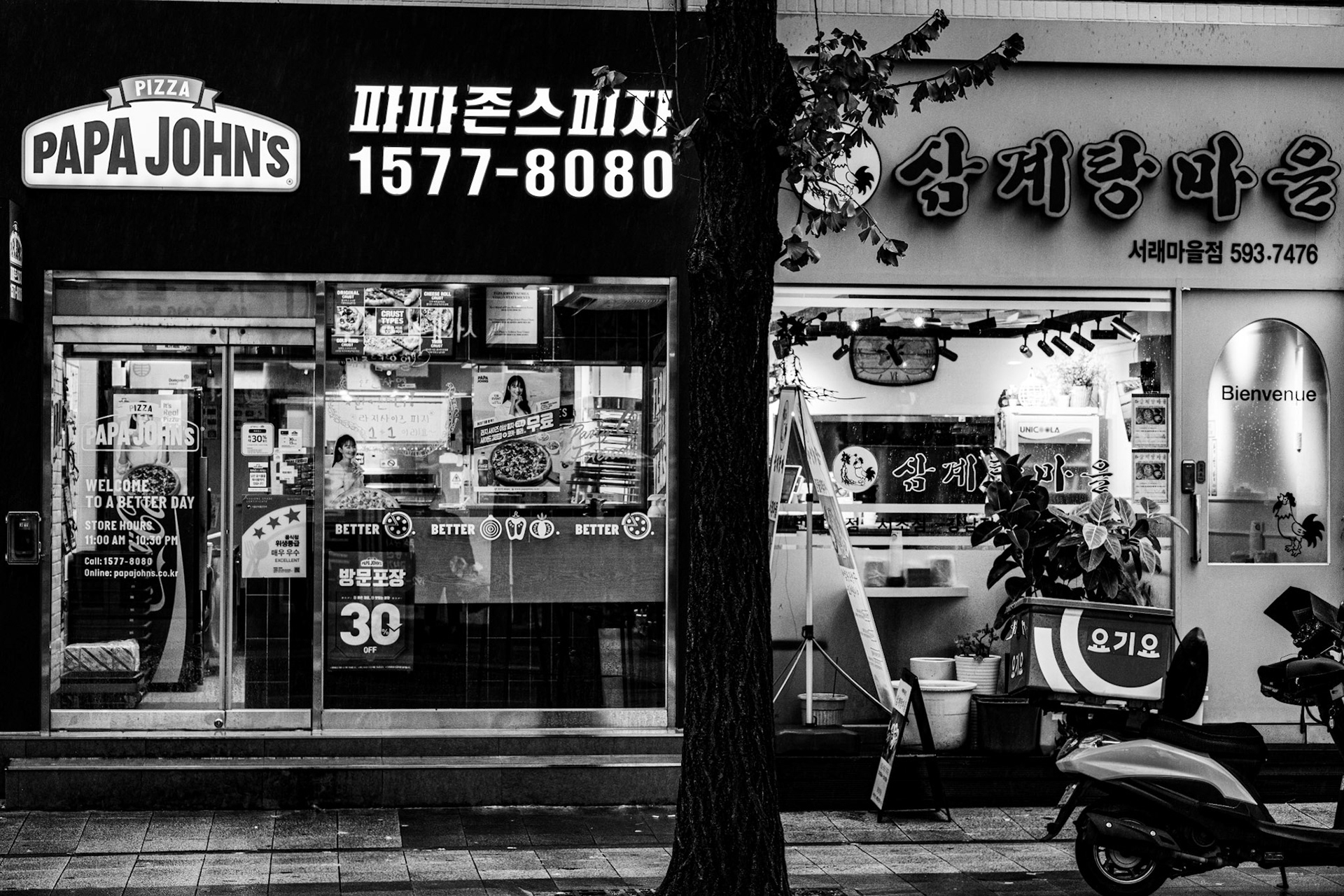 Seorae Maeul, French Village, Seoul, South Korea · October 3, 2022 · Nikon Z 9 · Nikkor Z 85 mm f/1.8 S · 1/200 sec f/8.0 ISO 1400