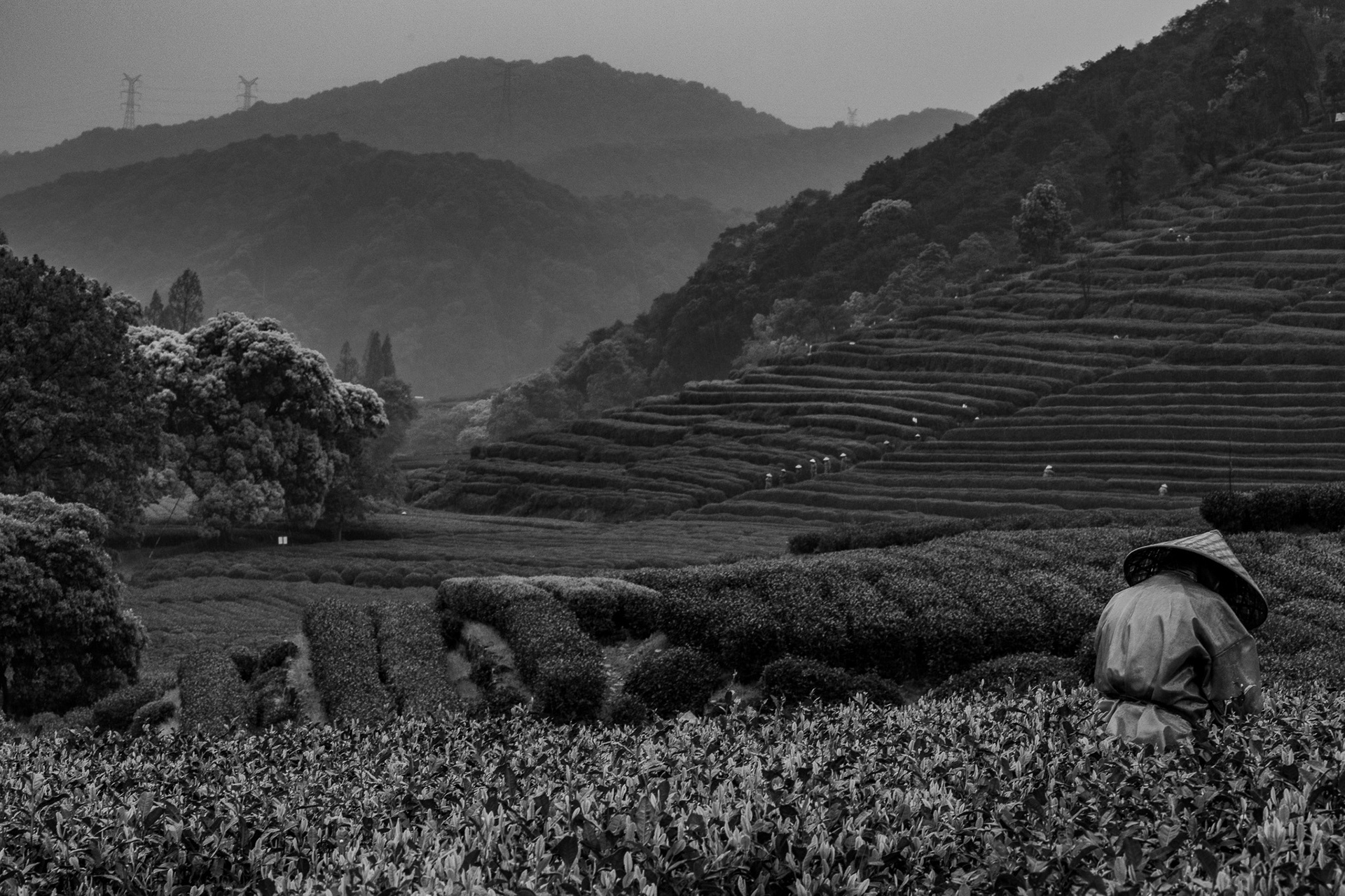 West Lake Longjing, Hangzhou, Zeijang, China · April 12, 2025 · Nikon Z 9 · Nikkor Z 85mm f/1.2 S · 1/16 sec f/16 ISO 1000