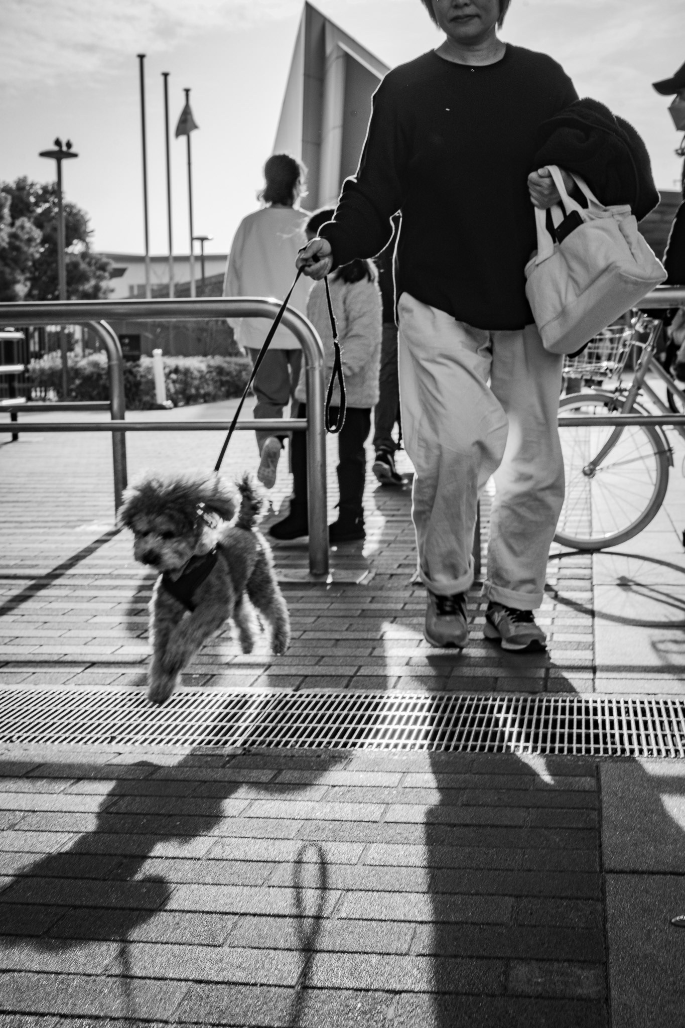 Kyoto, Japan · March 1, 2025 · Nikon Z 9 · Nikkor Z 50mm f/1.2 S · 1/200 sec f/11 ISO 220