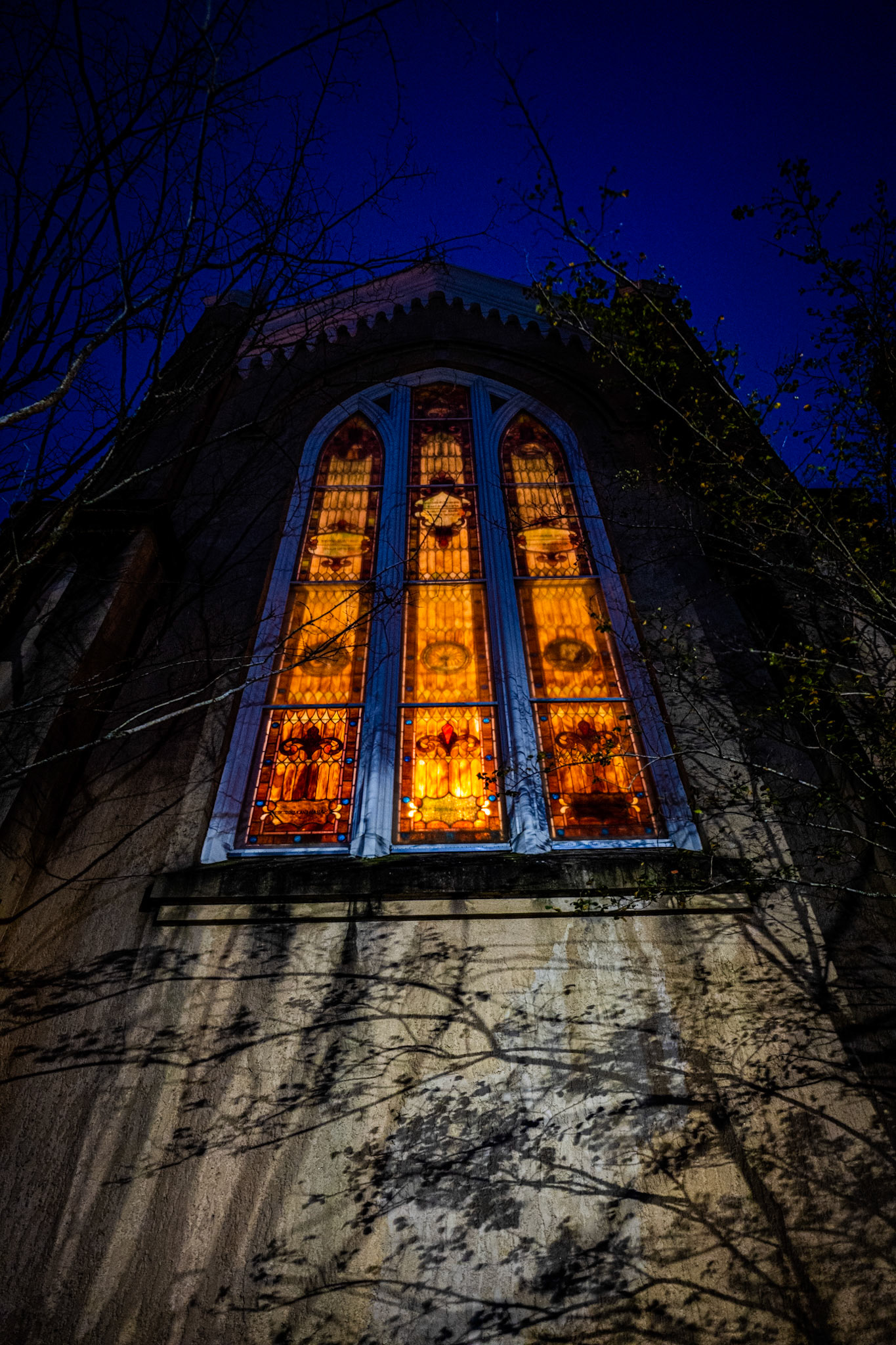 Mickve Israel, Savannah, Georgia, USA · November 9, 2022 · Nikon Z 9 · Nikkor Z 20 mm f/1.8 S · 1/50 sec f/1.8 ISO 3600