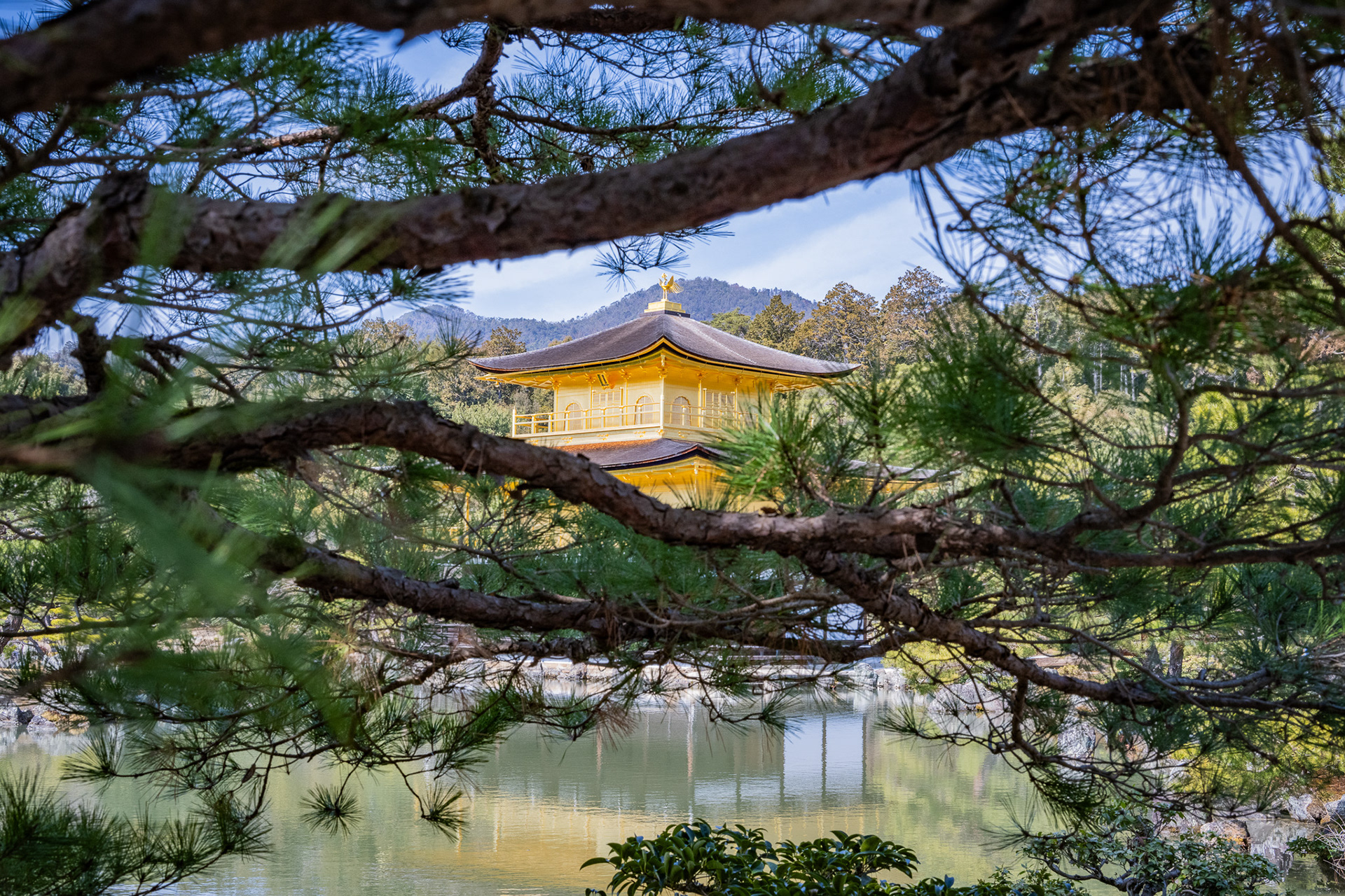 Kyoto, Japan · March 1, 2025 · Nikon Z 9 · Nikkor Z 50mm f/1.2 S · 1/200 sec f/16 ISO 720