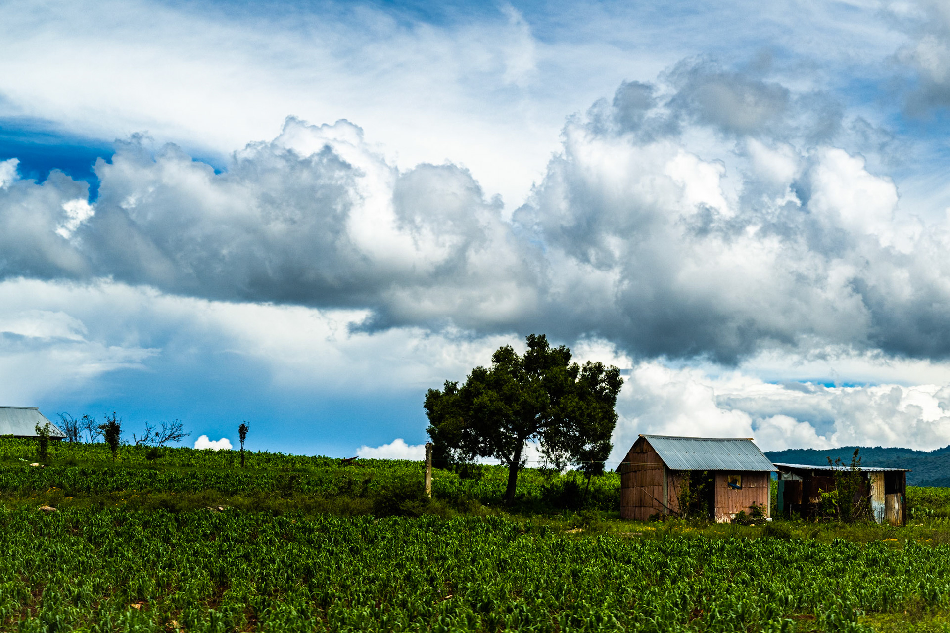 Santiago Apoala, Oaxaca, Mexico · August 19, 2022 · Nikon Z 9 · Nikkor Z 50 mm f/1.8 · S 1/400 sec f/16 ISO 360