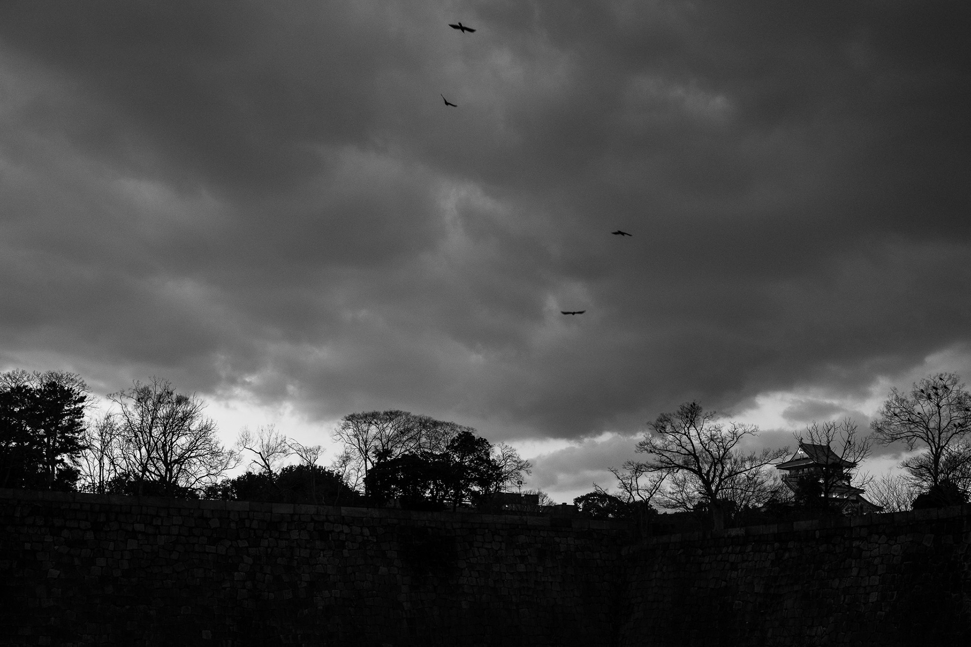 Osaka, Japan · February 23, 2025 · Nikon Z 9 · Nikkor Z 50mm f/1.2 S · 1/100 sec f/5.0 ISO 1000