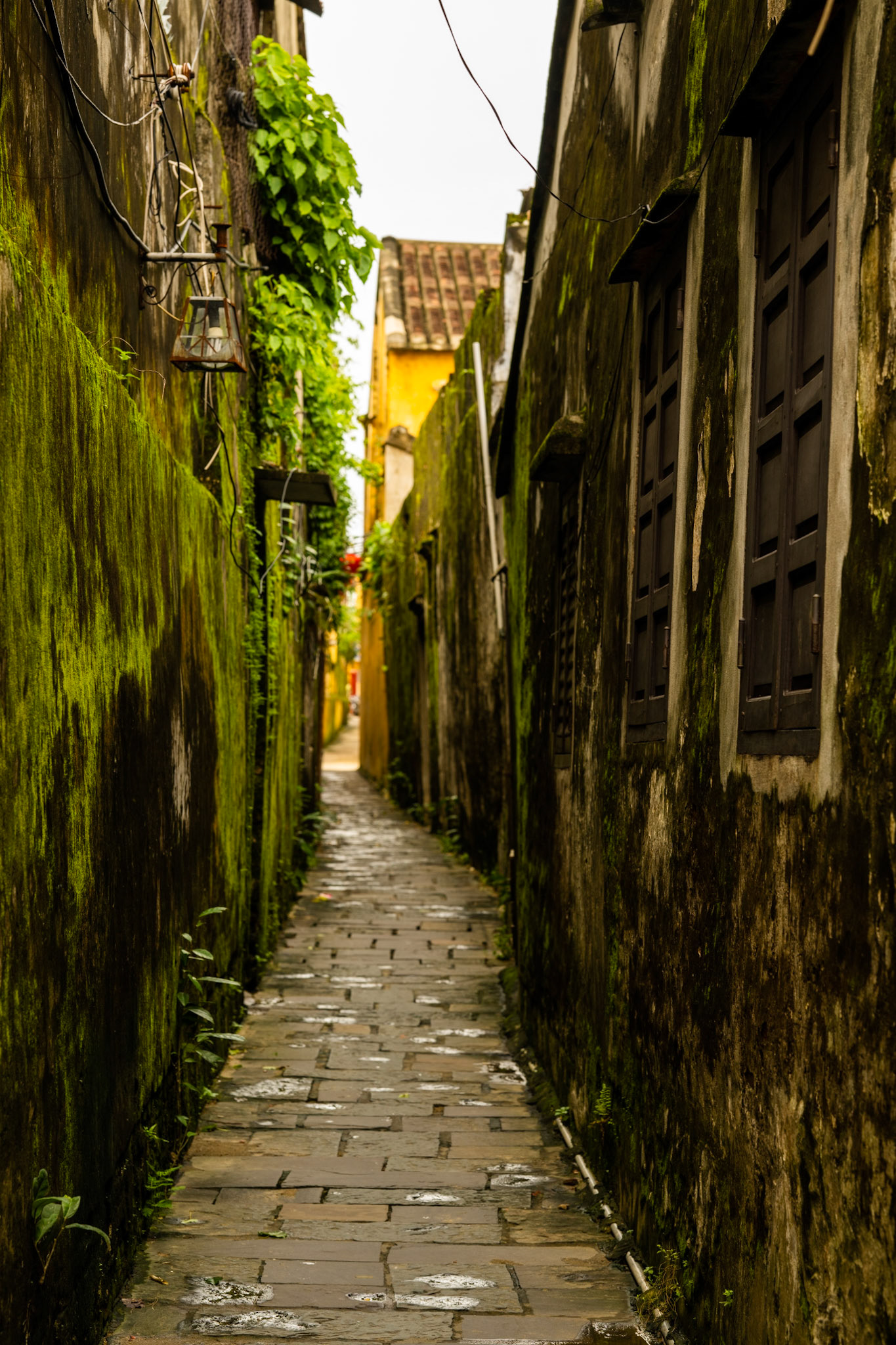Hoi An, Vietnam · October 26, 2023 · Nikon Z 9 · Nikkor Z 85 mm f/1.8 S · 1/160 sec f/7.1 ISO 280