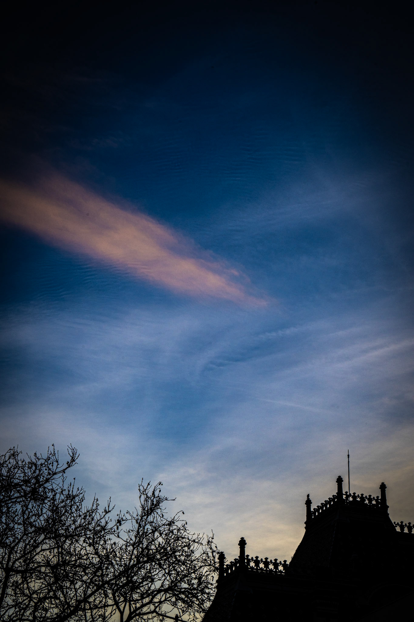 Lyon, France · December 30, 2023 · Nikon Z 9 · Nikkor Z 85mm f/1.2 S · 1/125 sec f/16 ISO 160