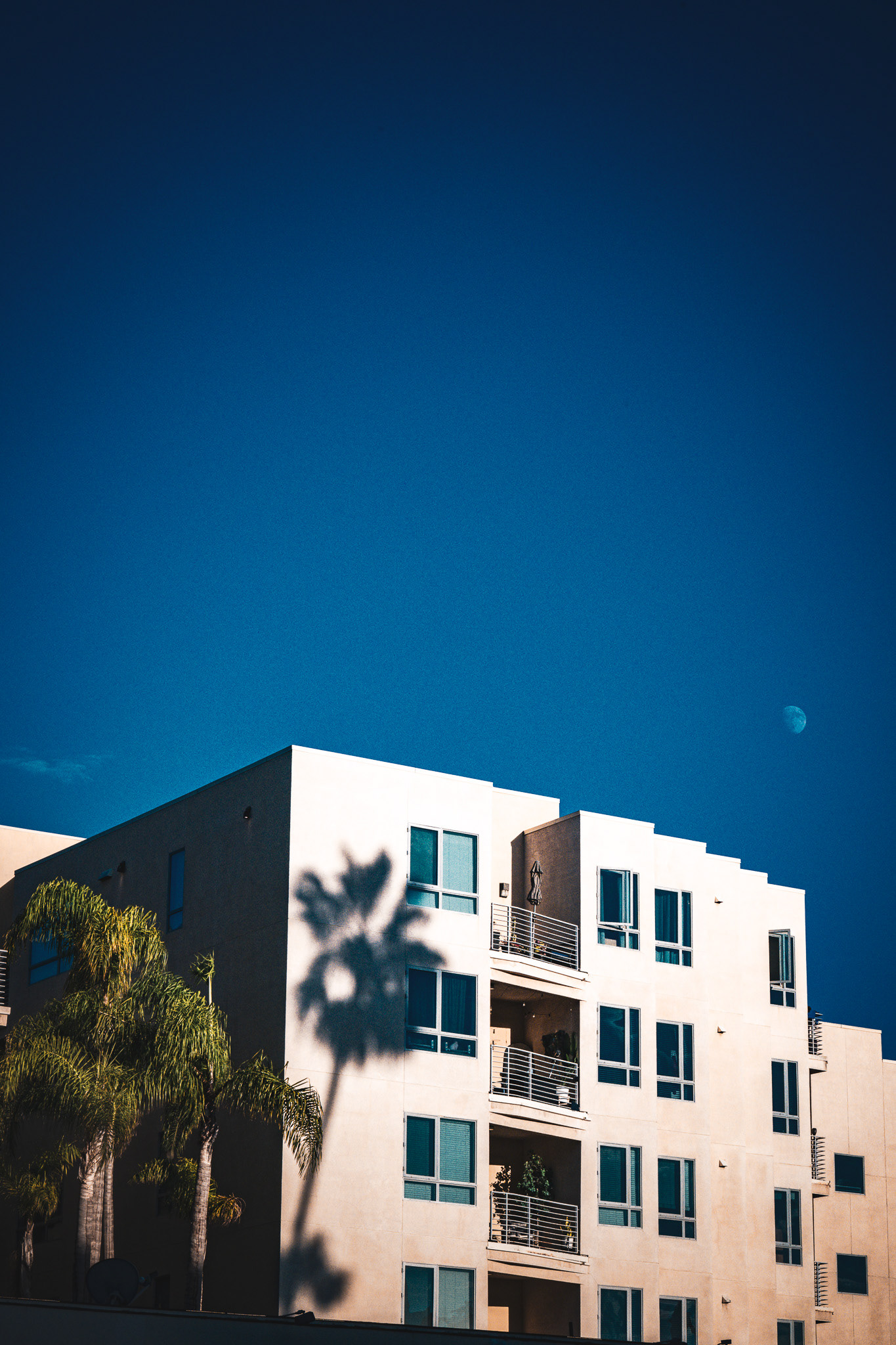 Los Angeles, California, USA · October 02, 2025 · Nikon Z 9 · Nikkor Z 85mm f/1.2 S · 1/800 sec f/16 ISO 900