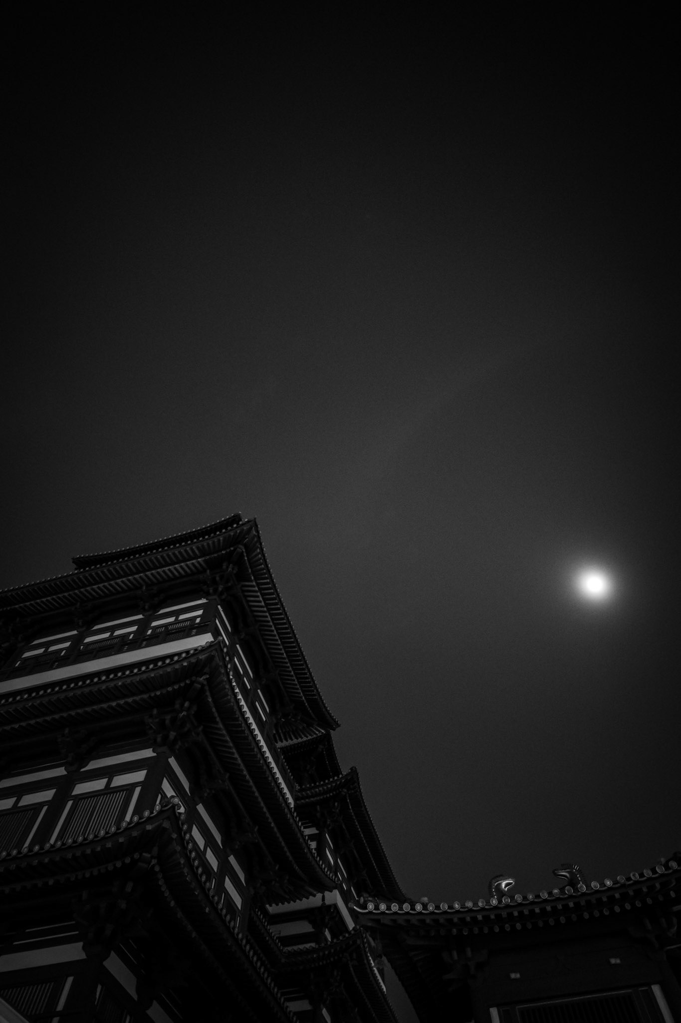 Singapore · November 27, 2023 · Nikon Z 9 · Nikkor Z 20 mm f/1.8 S · 1/50 sec f/1.8 ISO 5600