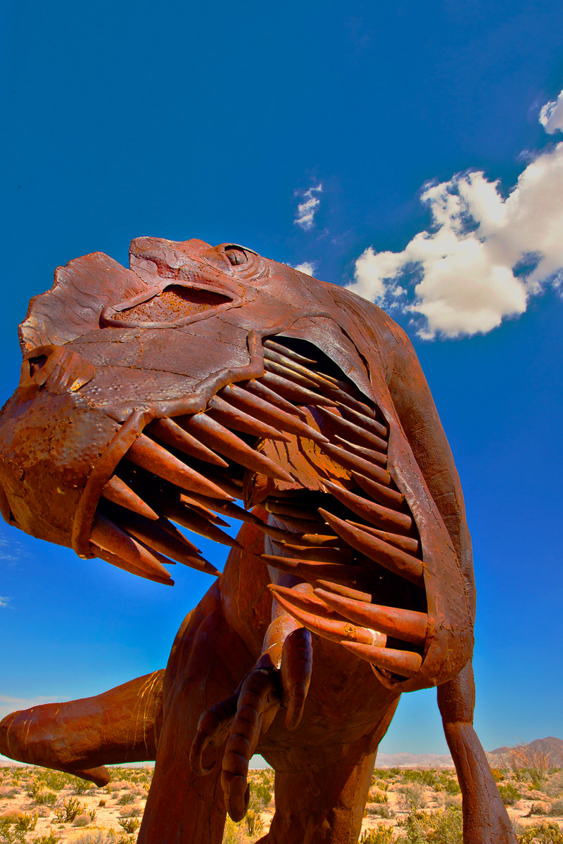 Anza-Borrego State Park