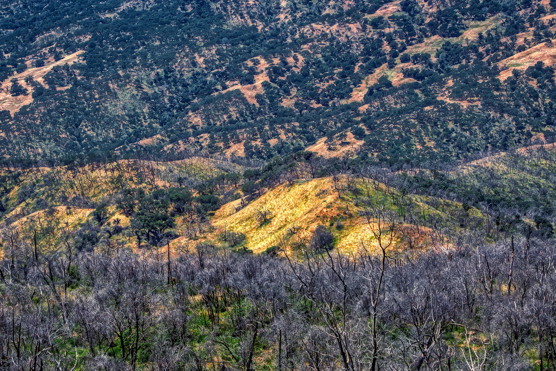 Carrizo Plain National Monument