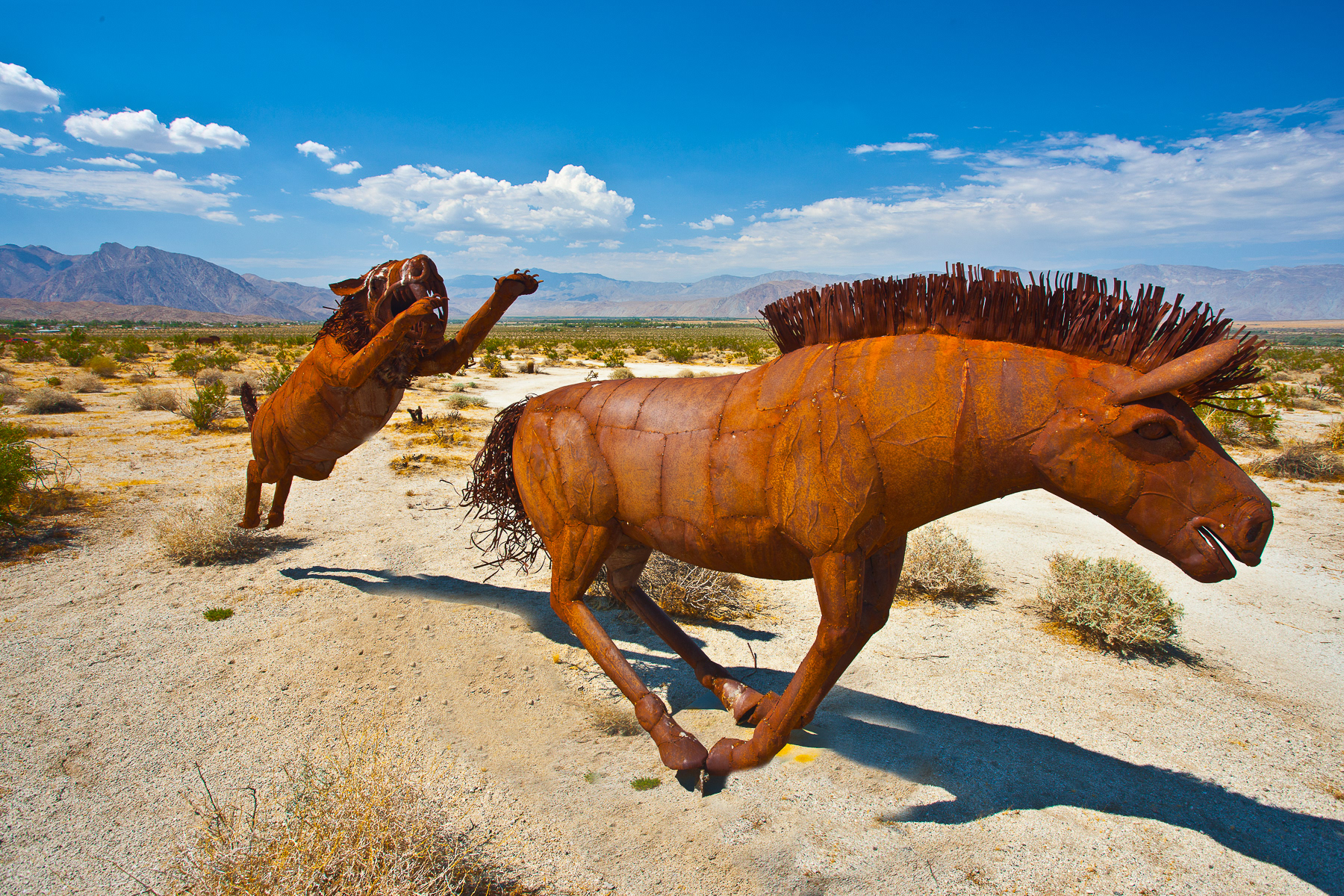 Anza-Borrego State Park