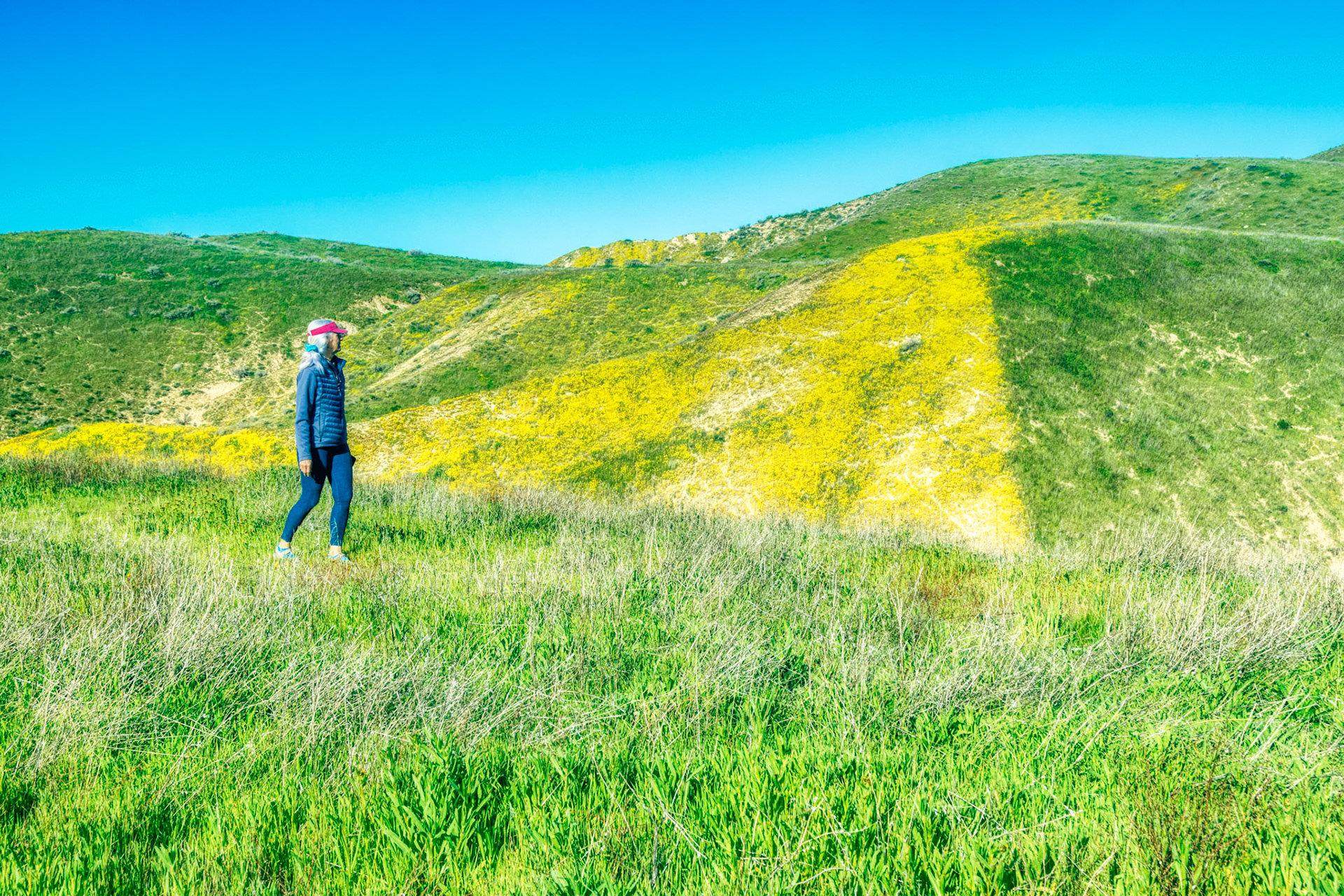 Carrizo Plain National Monument