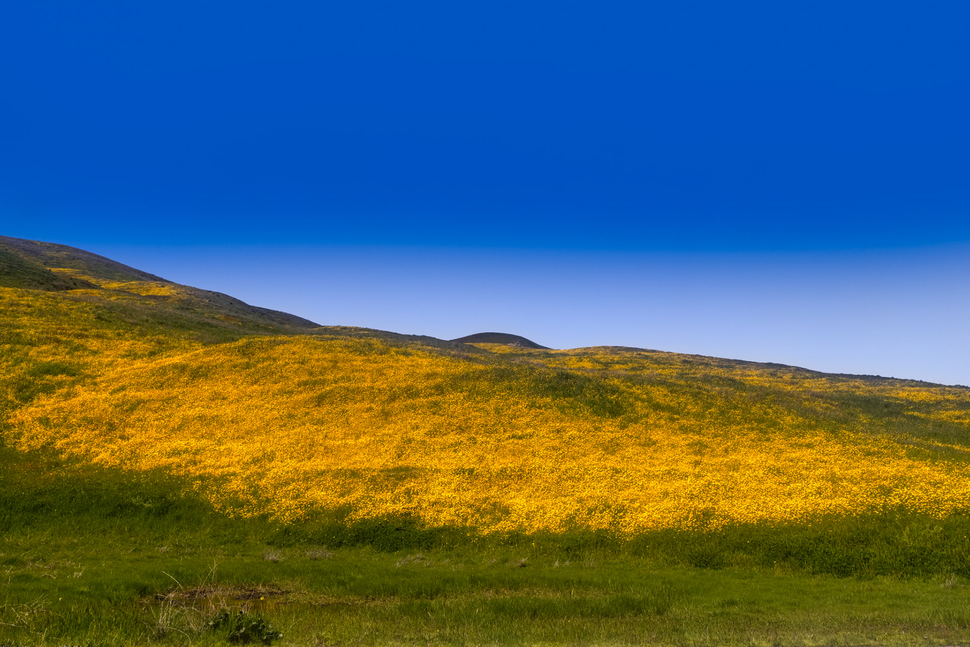 Carrizo Plain National Monument
