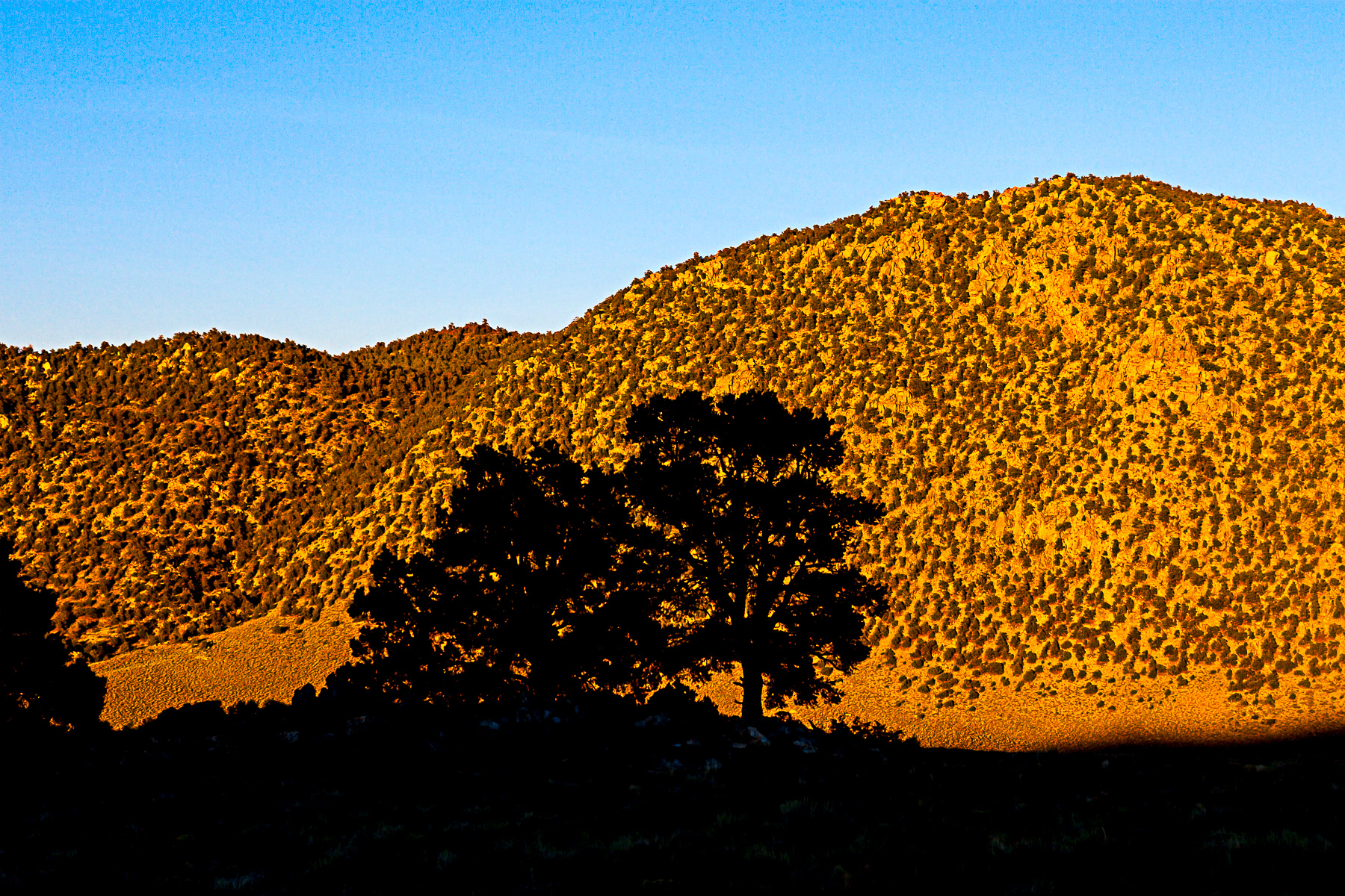 Panamint Valley near Death Valley