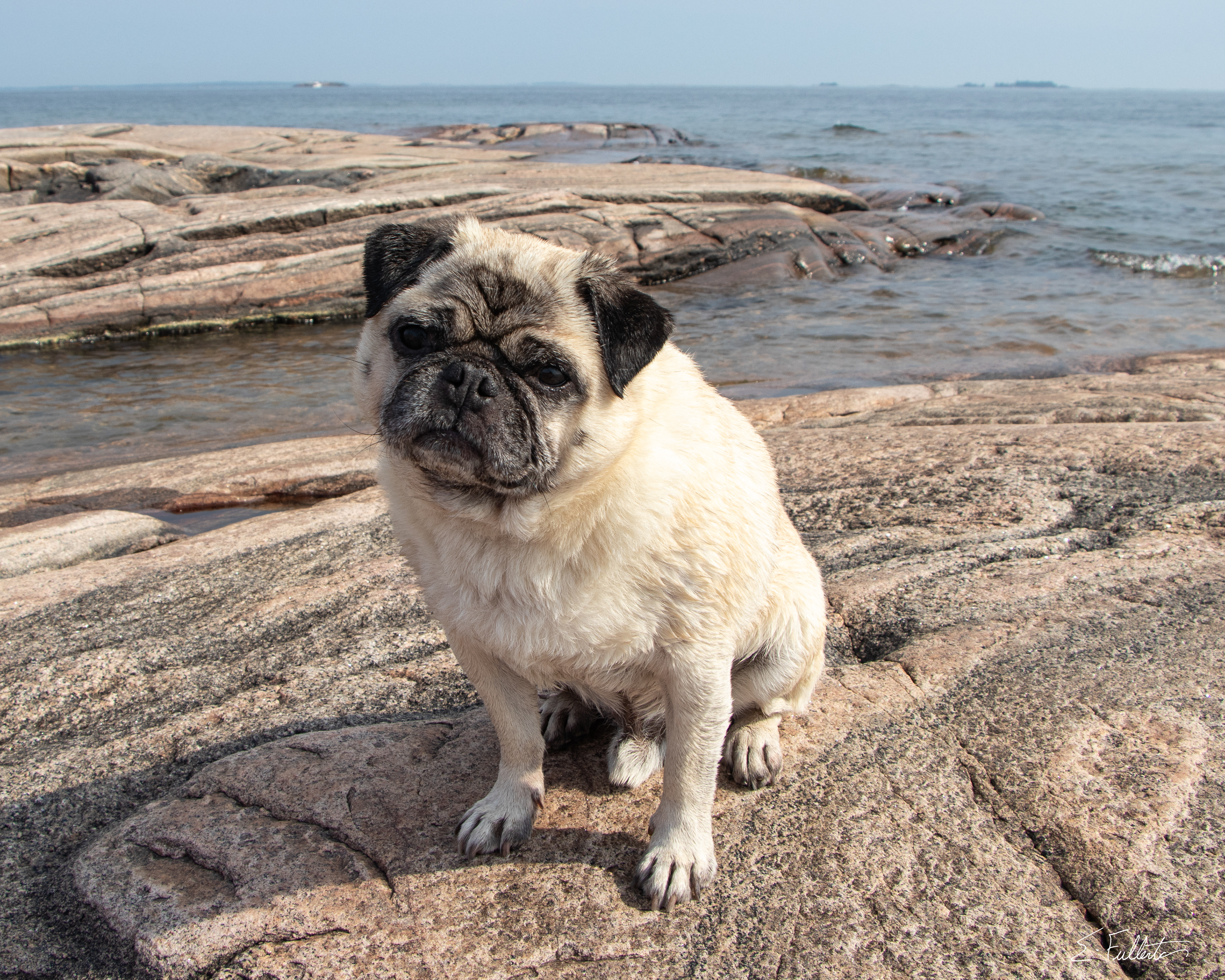 Harvey on Franklin Island #2