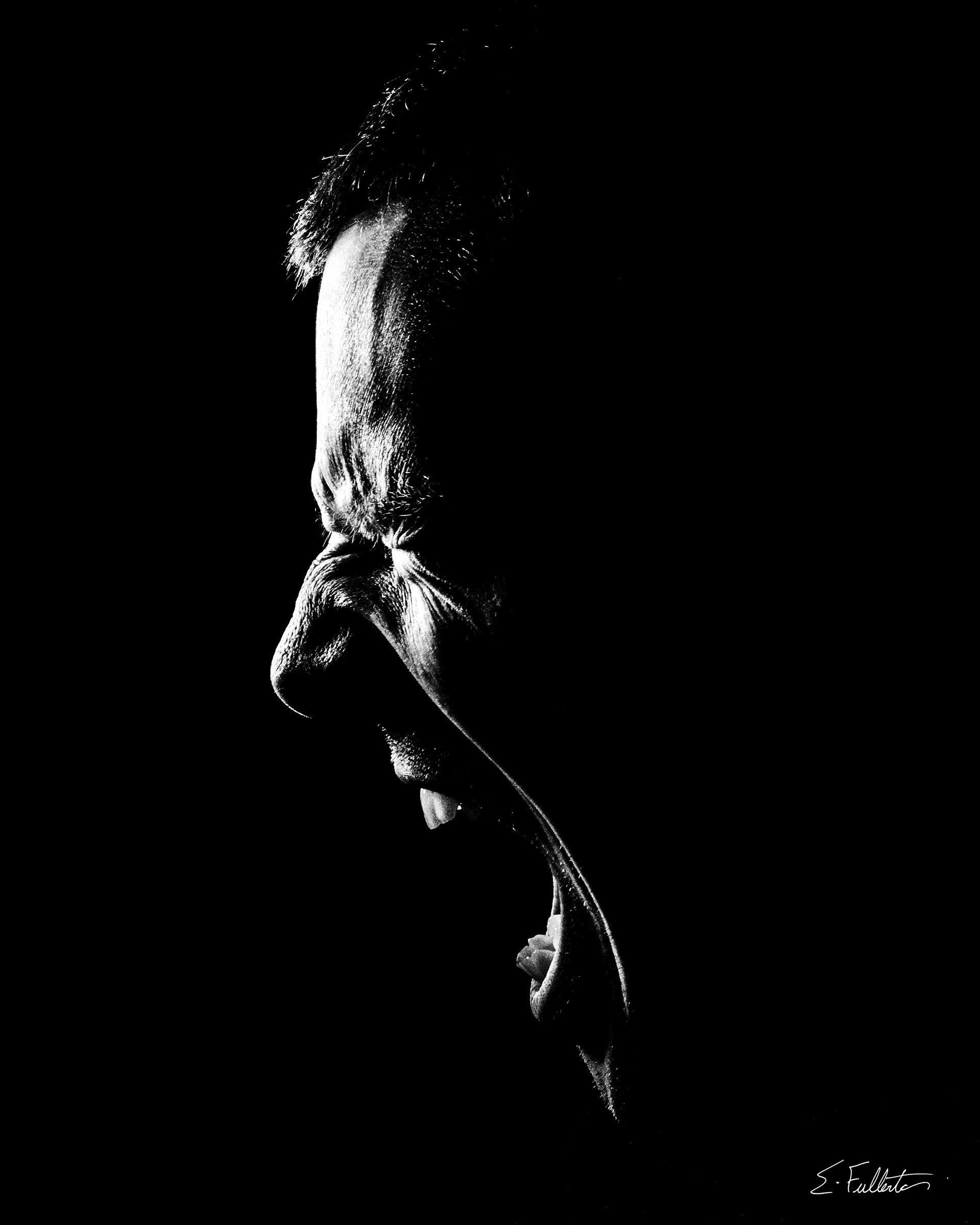 Week 13: Minimalism "RAGE (Self Portrait #2)"