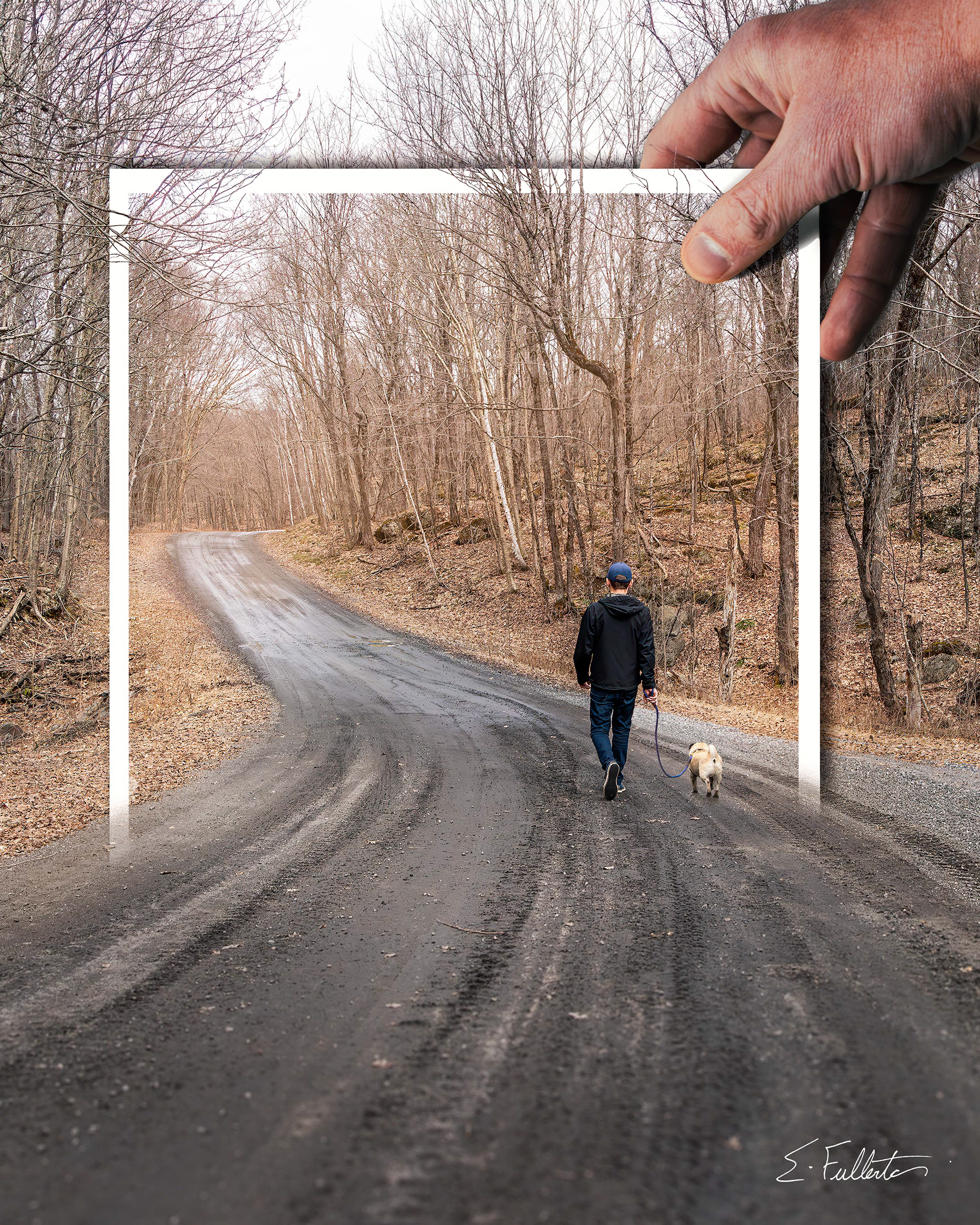 Week 11 - Road "Cottage Road"
