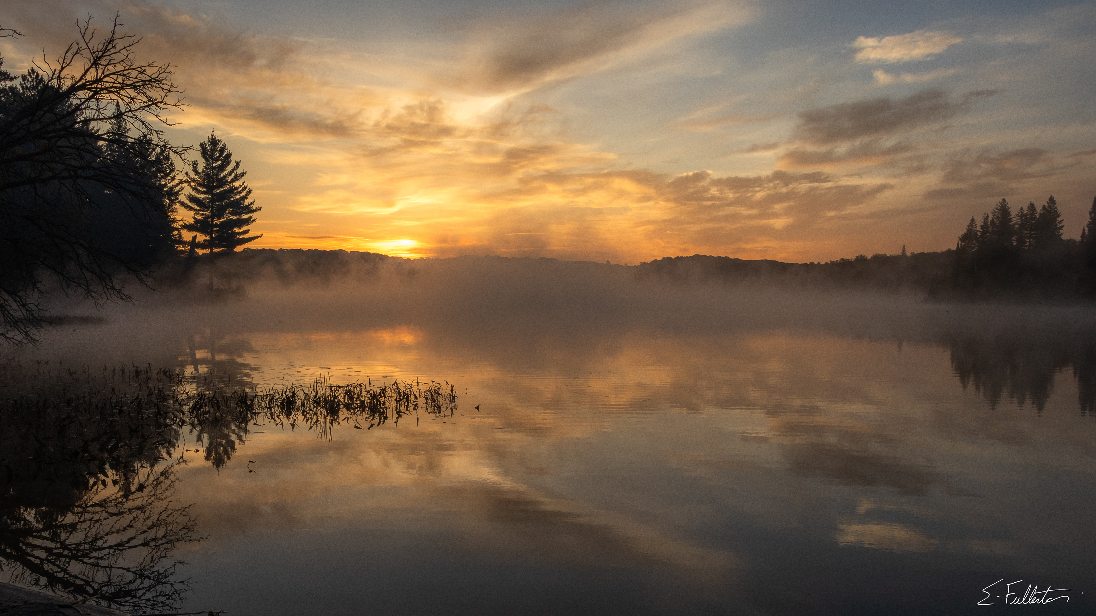 Foggy Morning on Quinn Lake (2023)