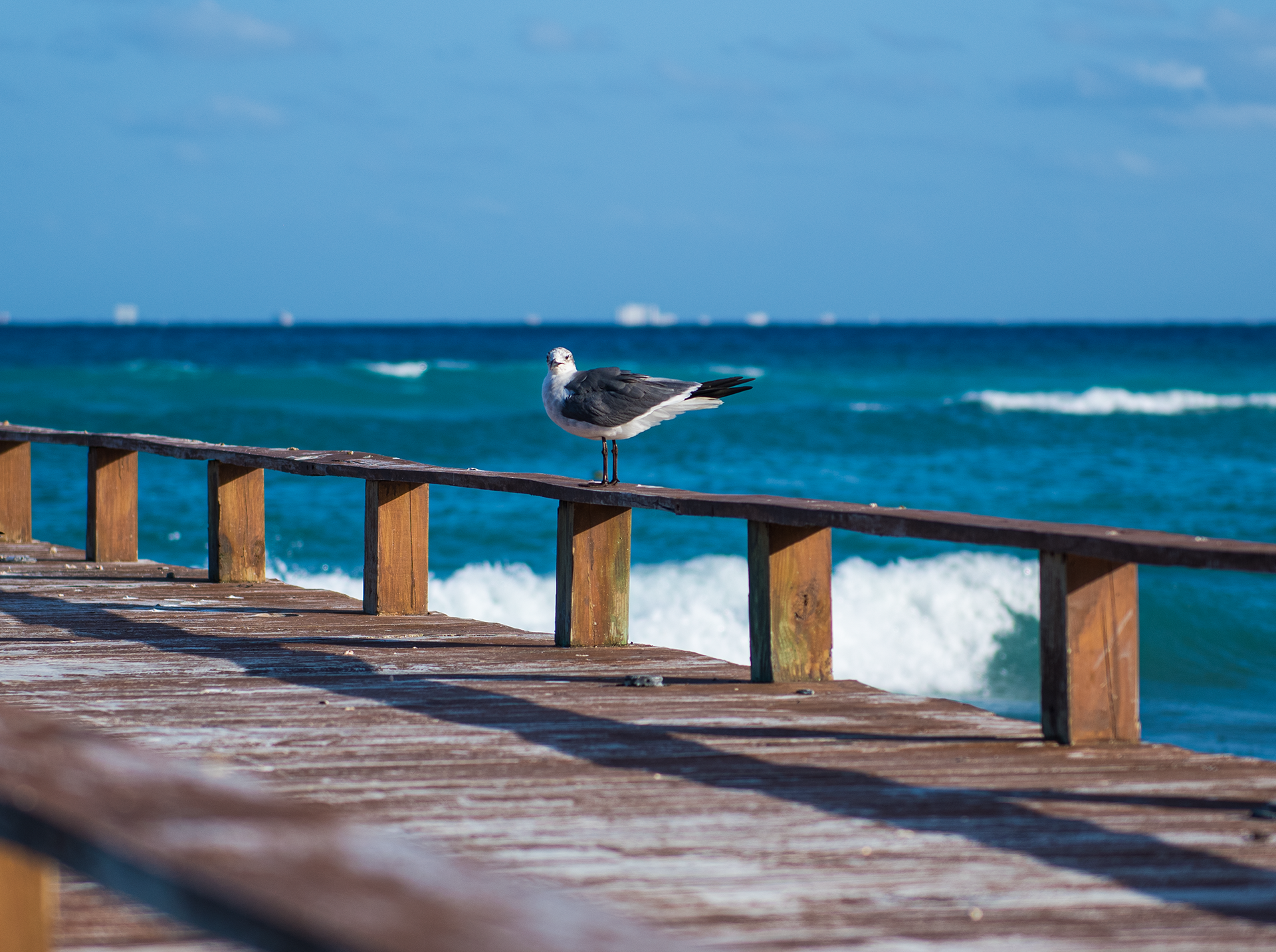 Xcalacoco | Playa del Carmen