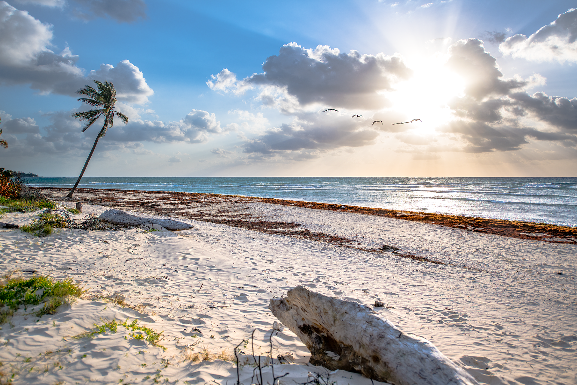 Playa Paraíso | Tulum